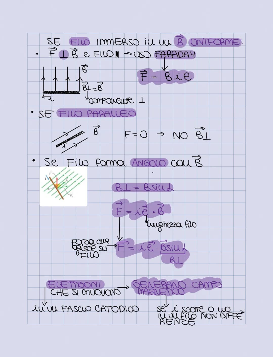 Magneti e Campo Magnetico:
MAGNETITE = MINERALE del FERRO
CALAMITA
LALAM
POLO
NORD
N
POO
SUD
S
= CITTA di MAGNESIA (UBIA)
= SCOPERTA da TAUE