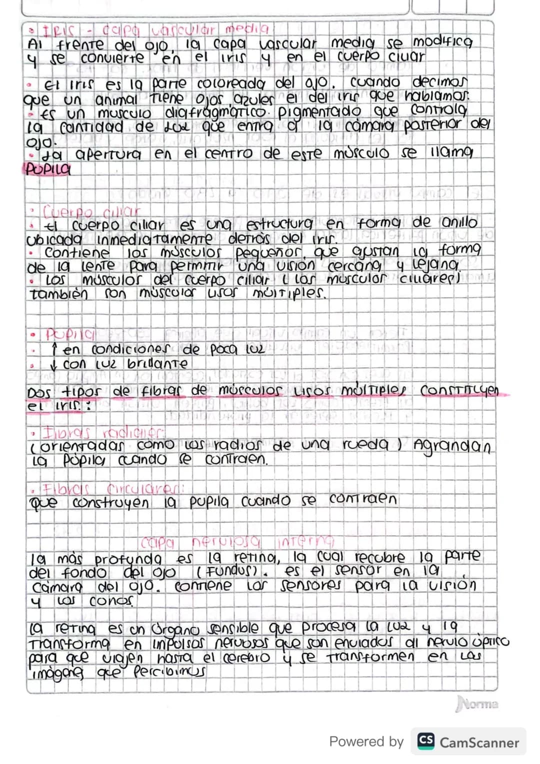f
1. Parpados:
* Ubicados sobre la superficie externa.
9
piel mas delgada, movil y flexible dei /
En el borde de la superficie cuerpo.
ext