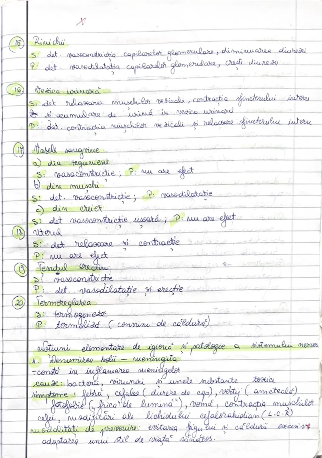 Listemul
mervos vegetateat (SNV)
- este sistemul nervos care coordonează activitatea viscerală
(inconstienta)
Clasificare SNV
1. Din punt d