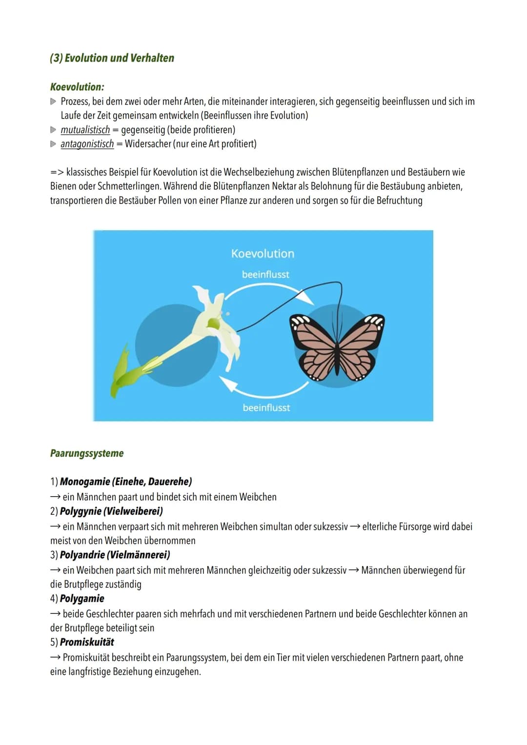 ## Evolution
Die wichtigsten Begriffe:
| Begriff | Definition