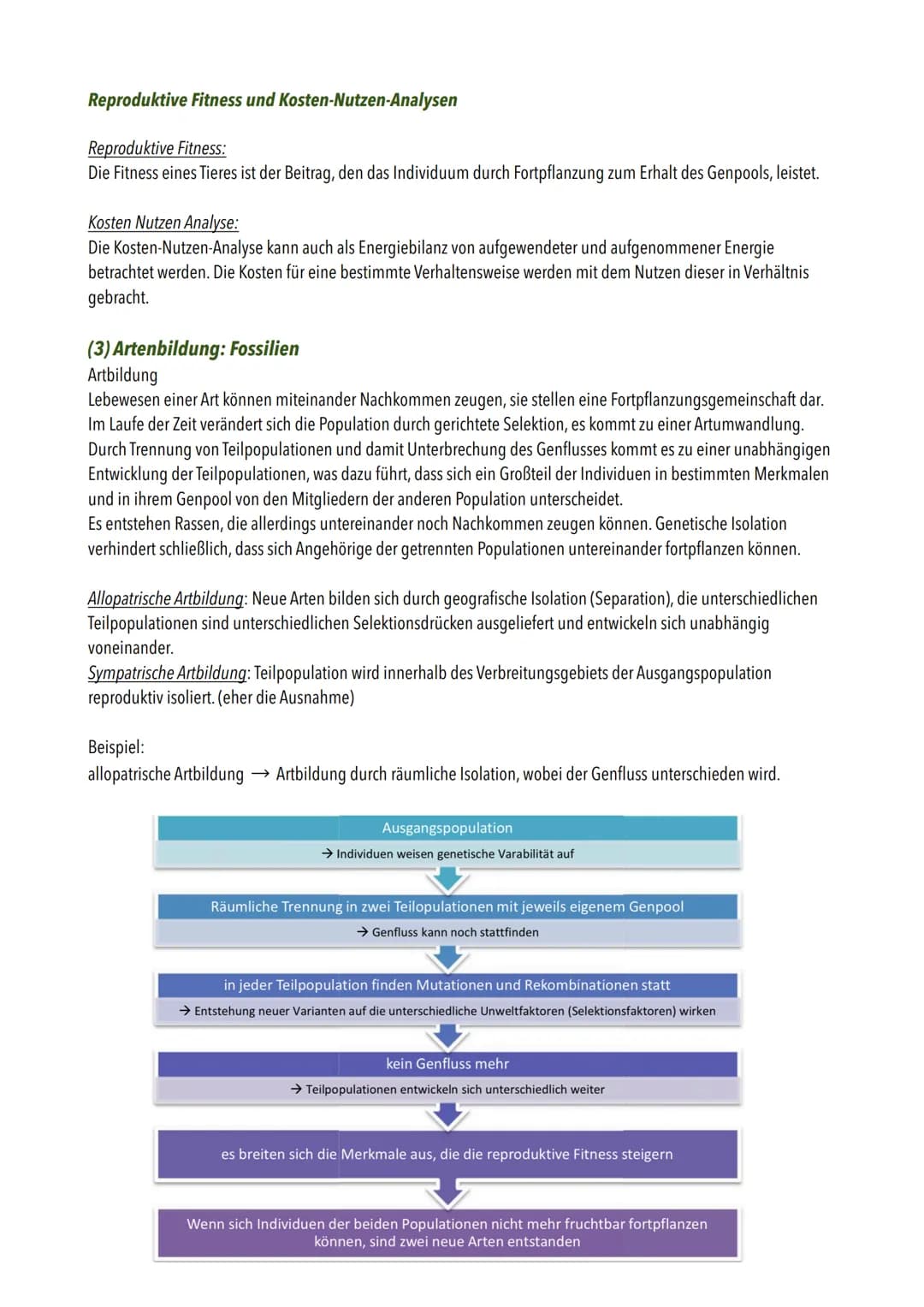## Evolution
Die wichtigsten Begriffe:
| Begriff | Definition