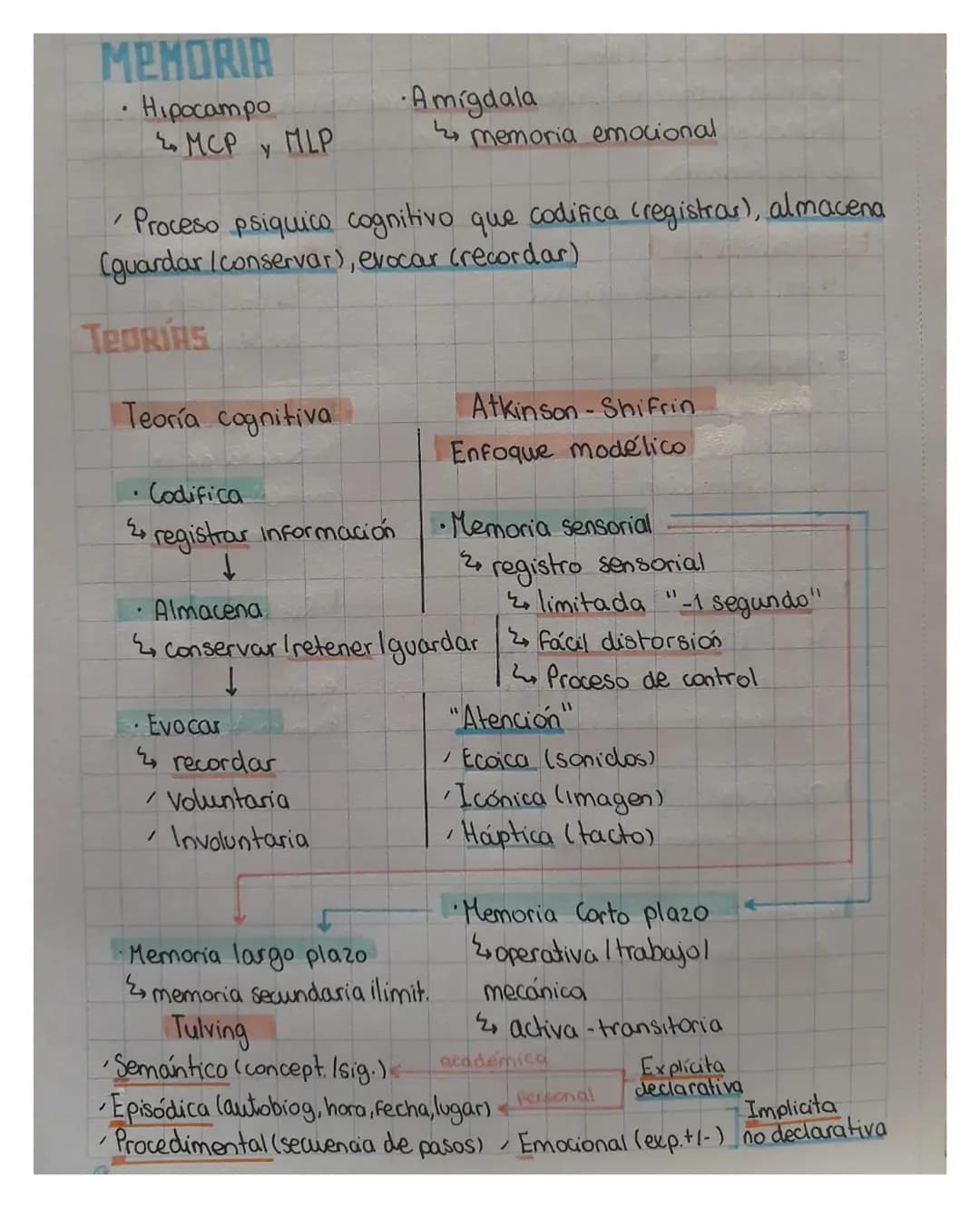# MEMORIA
• Hipocampo
MCP Y MLP
• Amígdala
memoria emocional
• Proceso psiquico cognitivo que codifica (registras), almacena
(guard