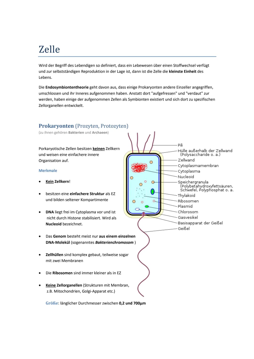 # Zelle
Wird der Begriff des Lebendigen so definiert, dass ein Lebewesen über einen Stoffwechsel verfügt
und zur selbstständigen Reprodukti