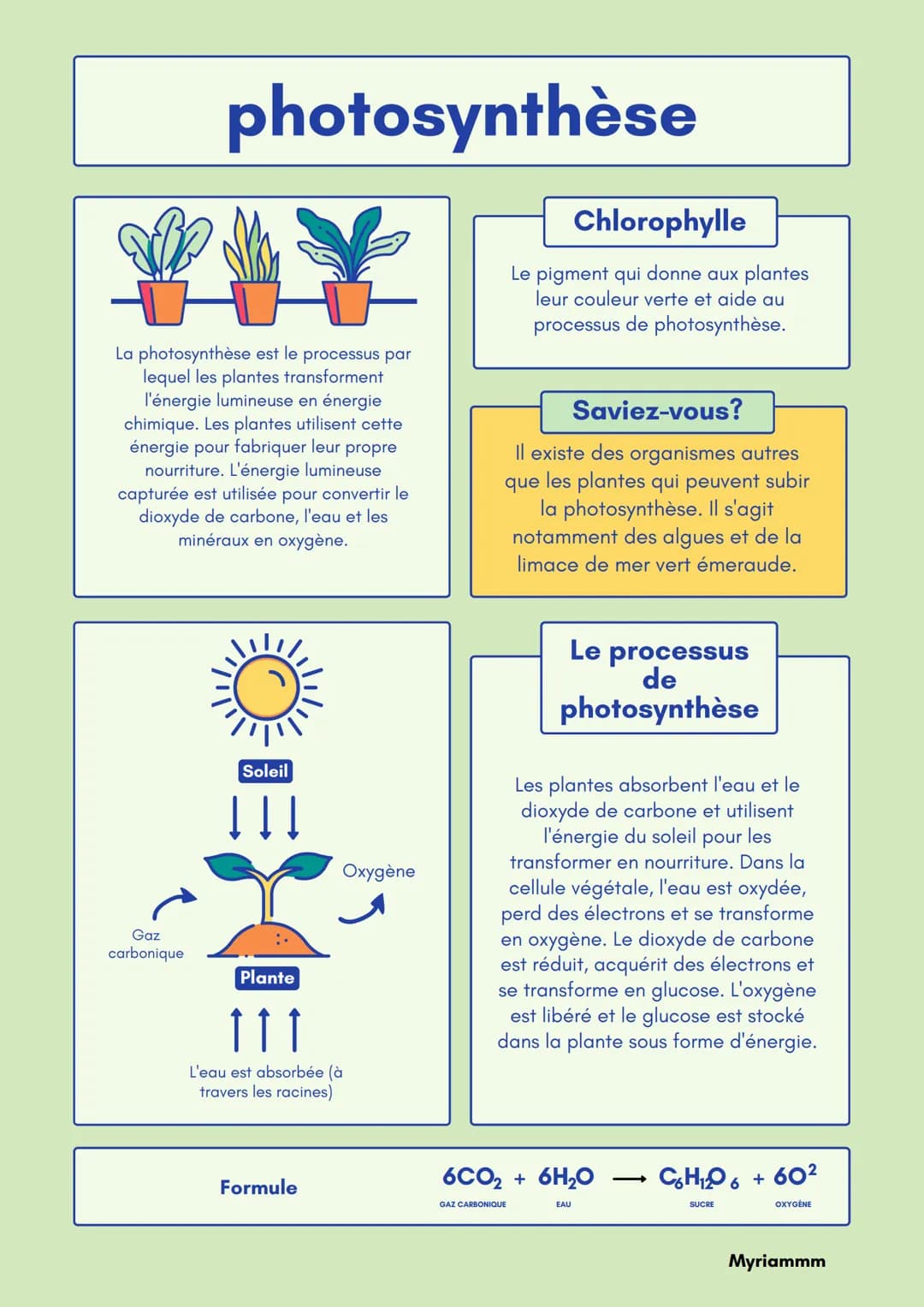 # photosynthèse
La photosynthèse est le processus par
lequel les plantes transforment
l'énergie lumineuse en énergie
chimique. Les plantes