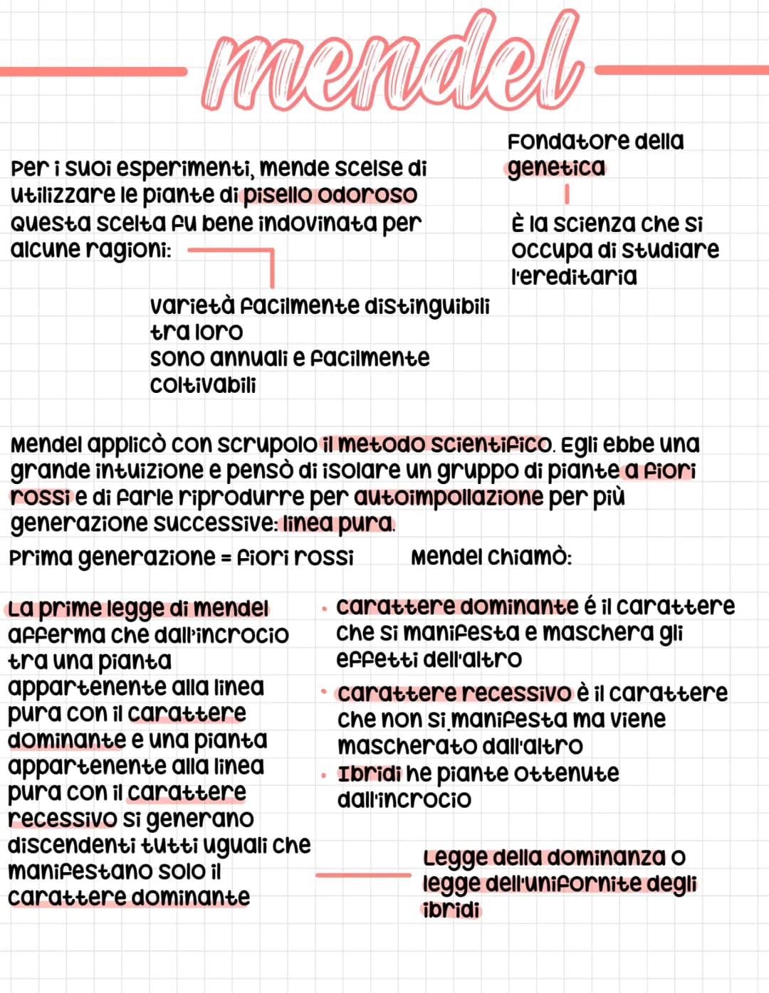 <p>Gregor Mendel è stato un famoso scienziato che ha condotto esperimenti sull'ereditarietà utilizzando le piante di pisello odoroso. La sc