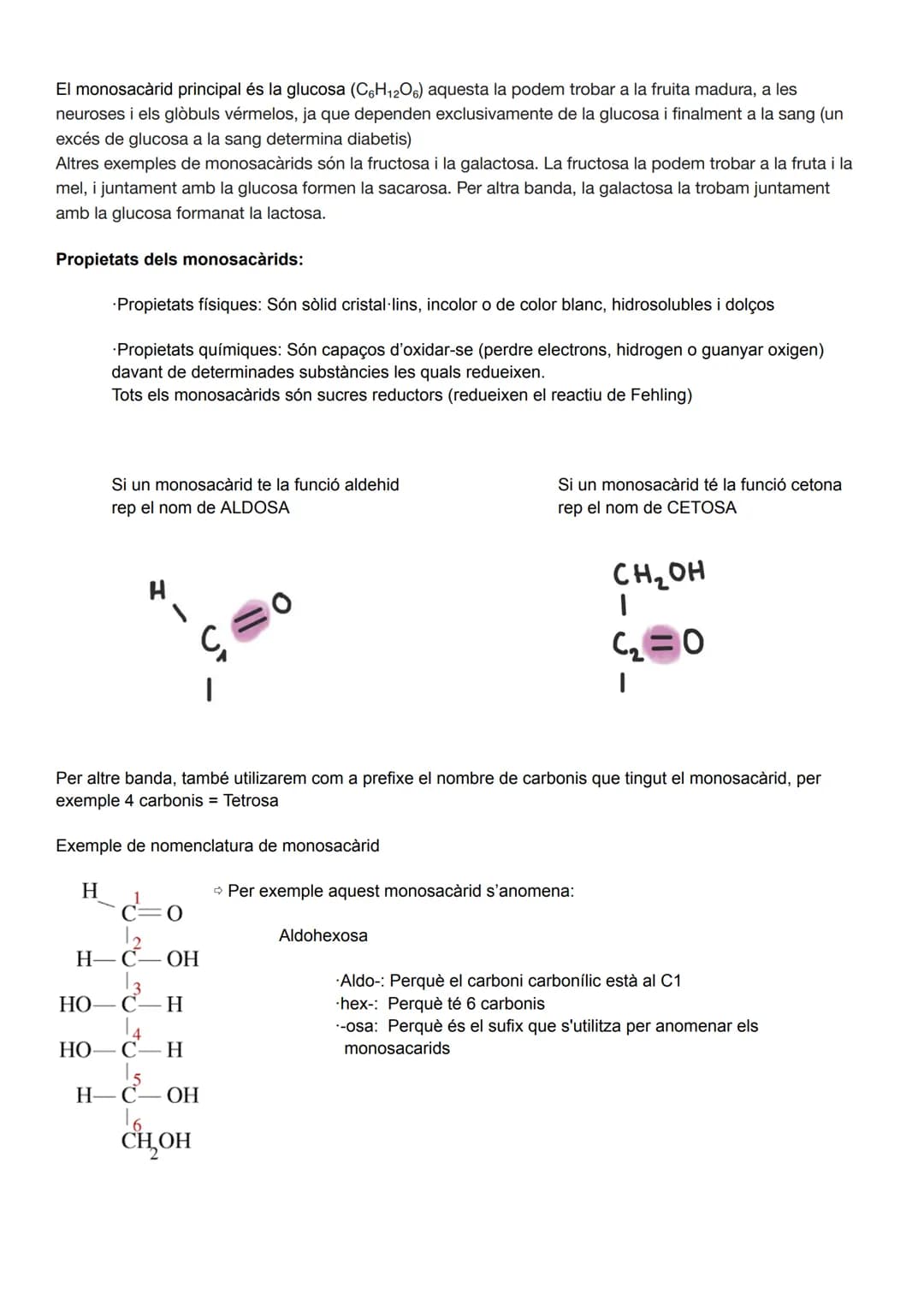 UD 2: ELS GLÚCIDS
Els glúcids (o sucres), anomenats així perquè molts són dolços, aquests són biomolècules formades
principalment per carbo