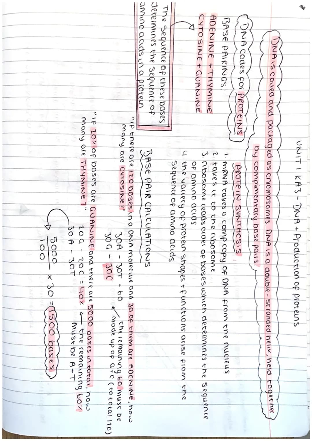 ΟΝΙΤΙ ΚΑI - Cell Structure
ANIMAL CELL
Cell
membrane
nucleus
ribosome
cytoplasm
Mitocondria
PLANT CELL cellmembrane
cell wall
nucleus
ribo