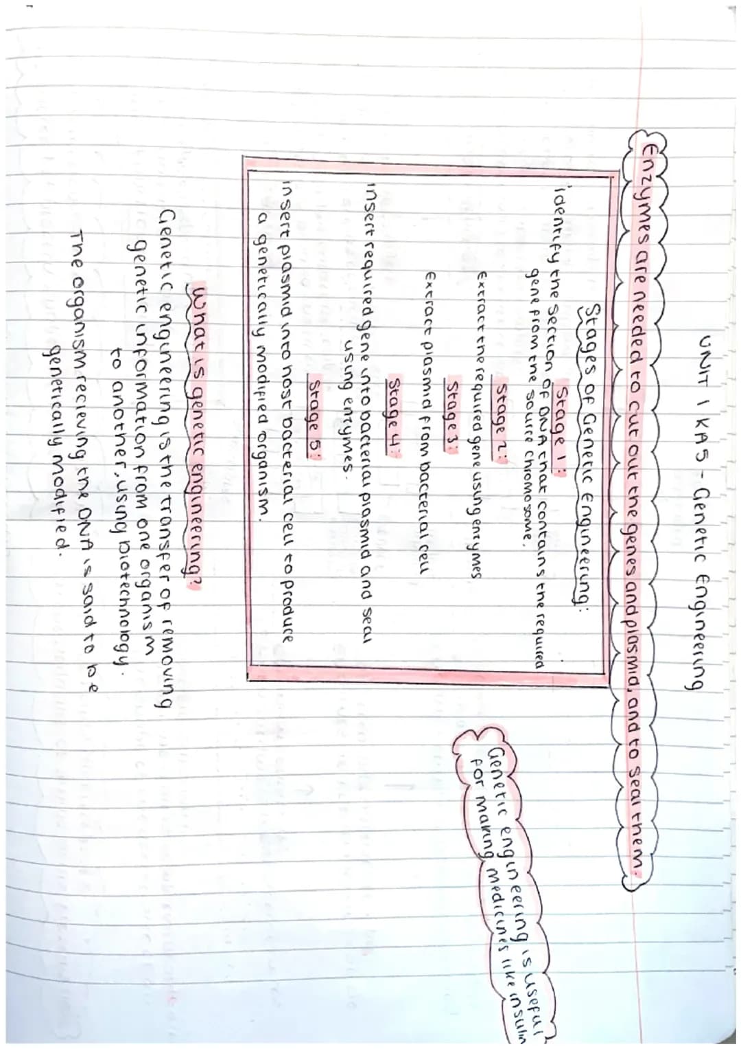 ΟΝΙΤΙ ΚΑI - Cell Structure
ANIMAL CELL
Cell
membrane
nucleus
ribosome
cytoplasm
Mitocondria
PLANT CELL cellmembrane
cell wall
nucleus
ribo