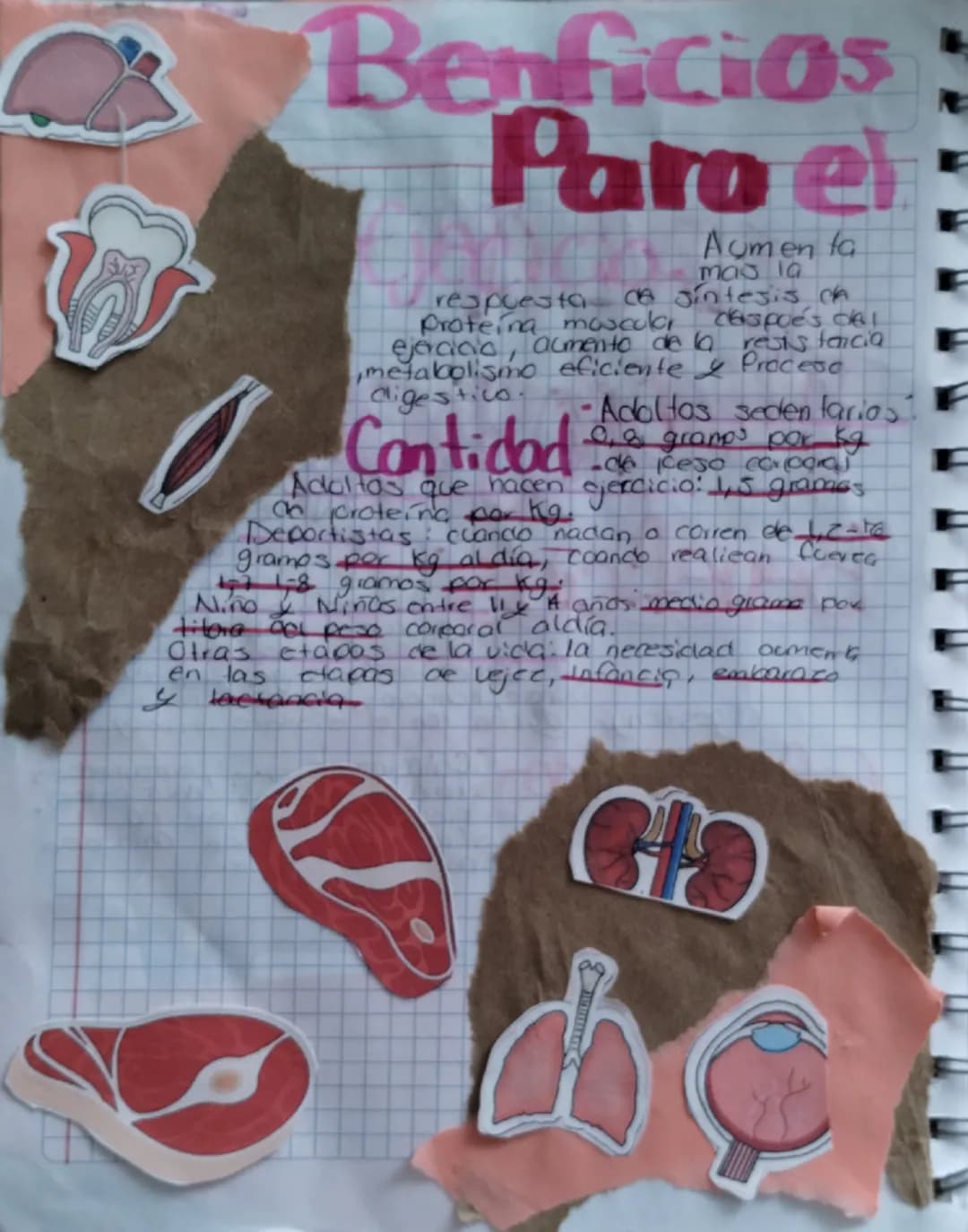 ASPRONAG
son moleadas
As proteinas
grandes complejas querun
desempanan muchas funciones
en el cuerpo. Realican la
mayor parte del frabajo e