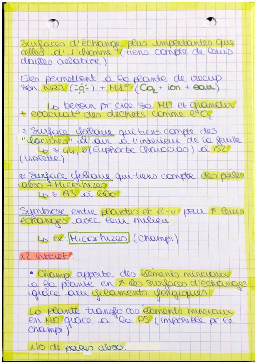 # plantes
- bourgeon apicale.
- feuille
- Recup Mère
- Pred matiere
- tige
- orga
- lumière + CO₂
- racine Autotrophe: Orge
capalte synthet