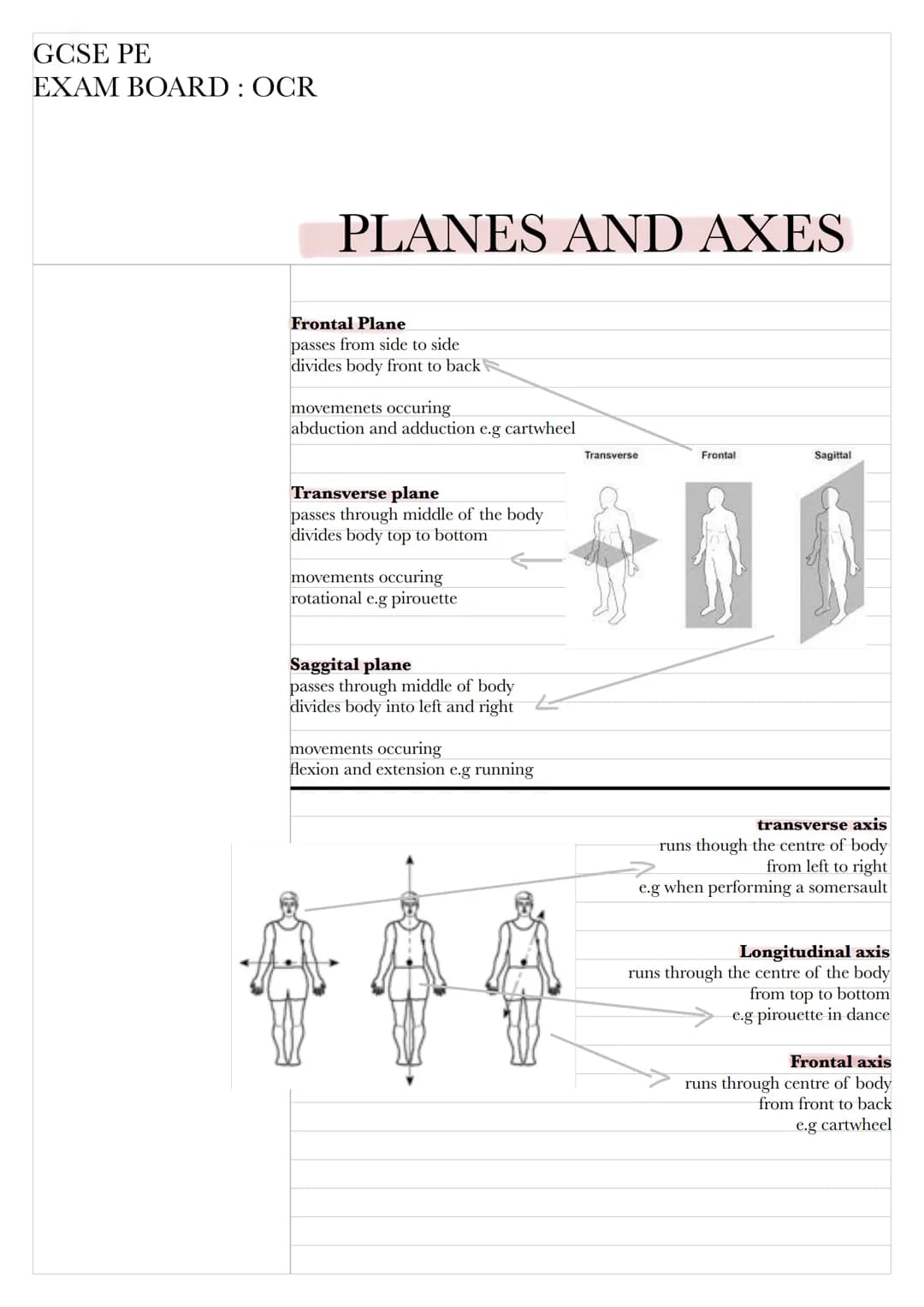 GCSE PE
EXAM BOARD: OCR
# PLANES AND AXES
Frontal Plane
passes from side to side
divides body front to back
movemenets occuring
abduction
