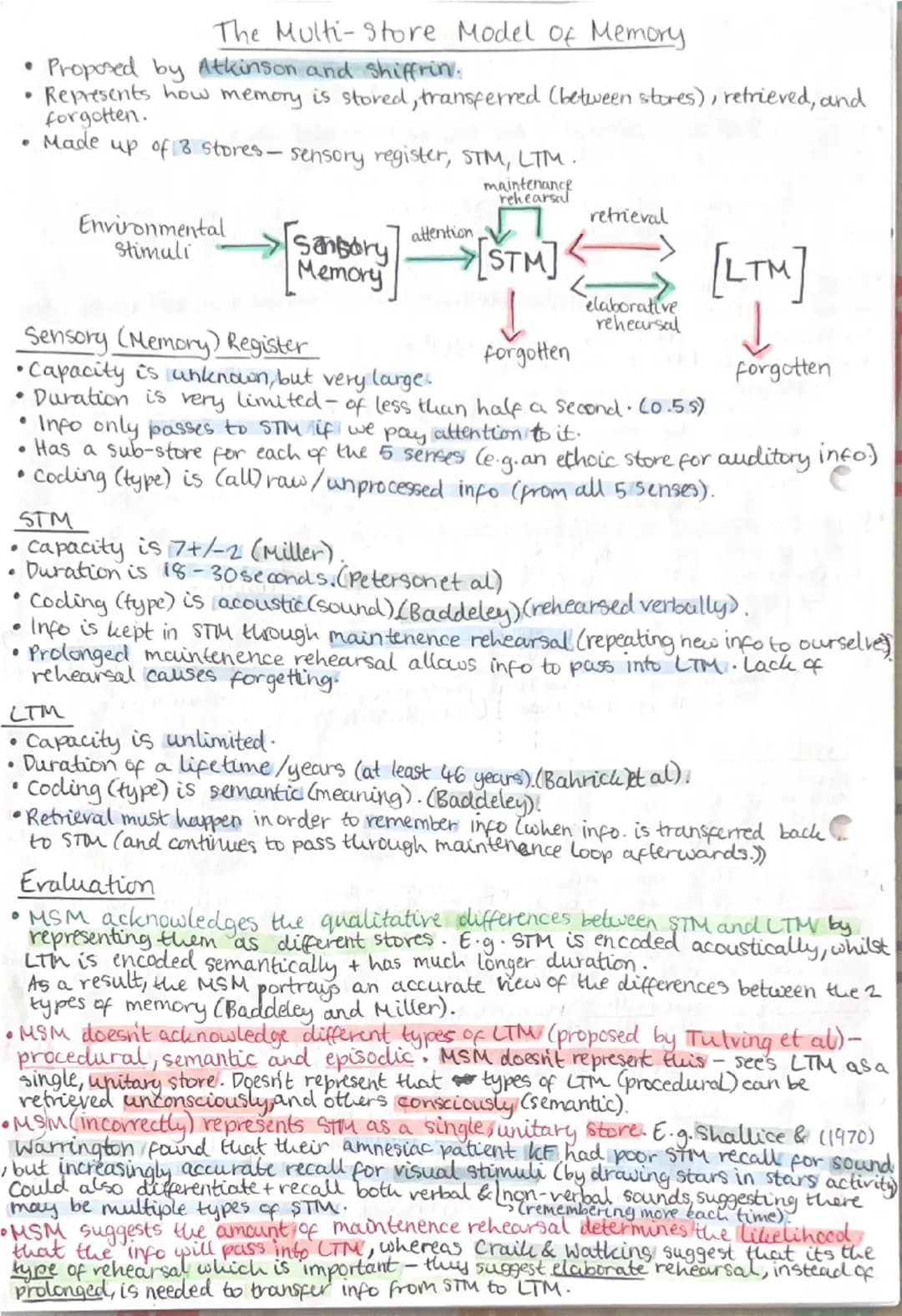 Memory
Coding, Capacity and Duration of Memory
•Coding: type of information stored in each memory store.
↳ short-term memory is accustic (so