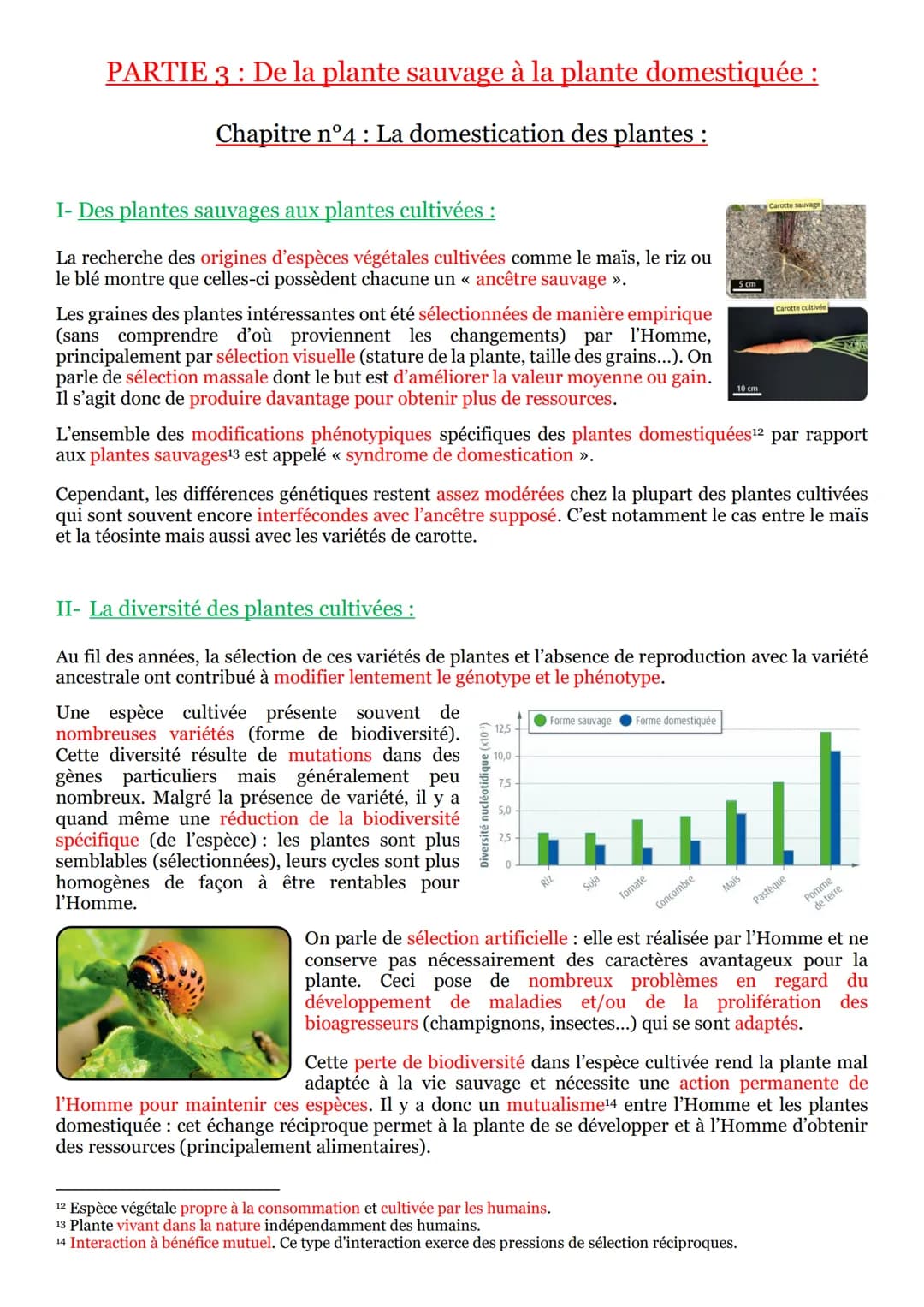 PARTIE 3 : De la plante sauvage à la plante domestiquée :
Chapitre n°1 : L'organisation fonctionnelle des plantes à fleur :
I- La vie fixé