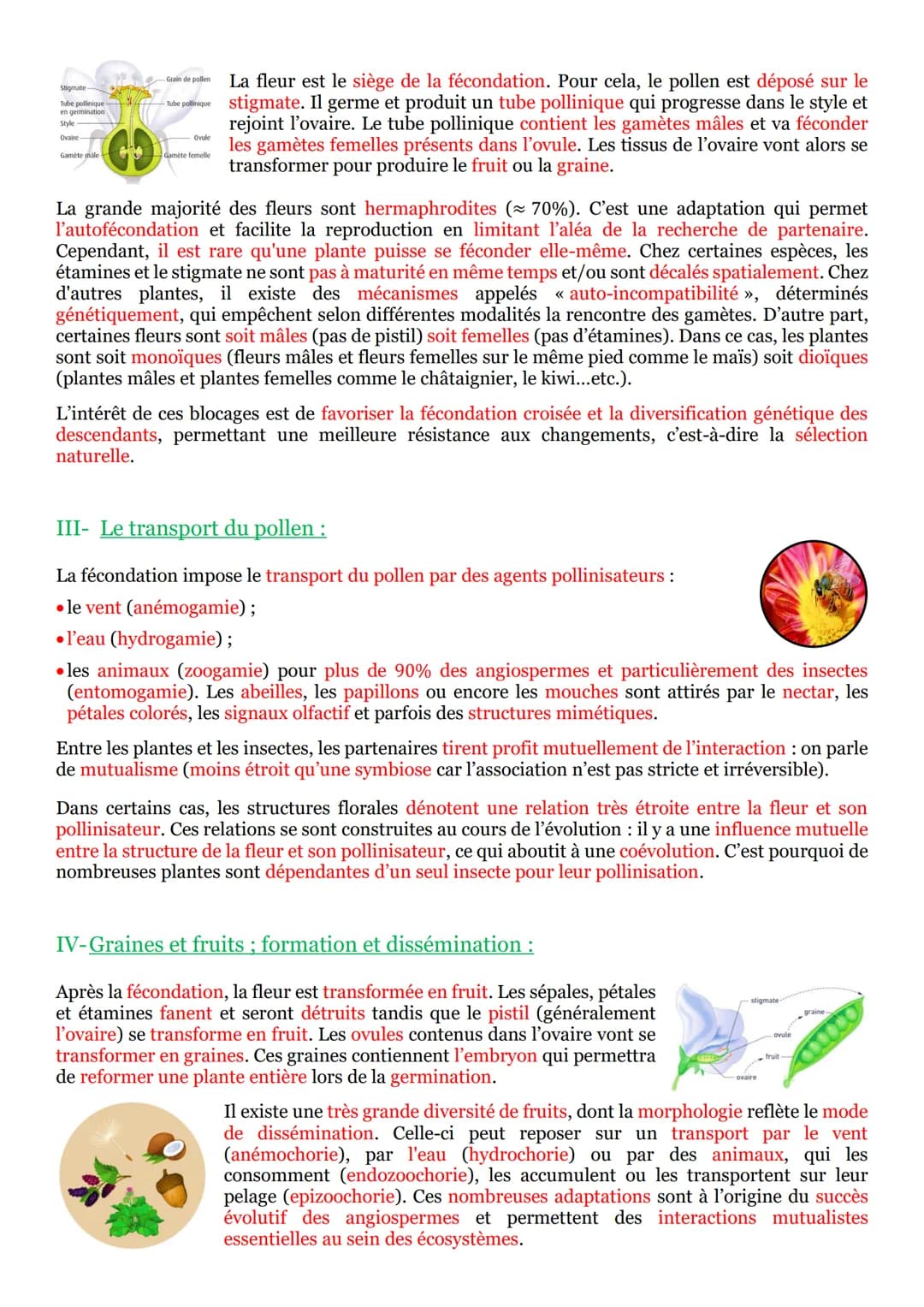 PARTIE 3 : De la plante sauvage à la plante domestiquée :
Chapitre n°1 : L'organisation fonctionnelle des plantes à fleur :
I- La vie fixé