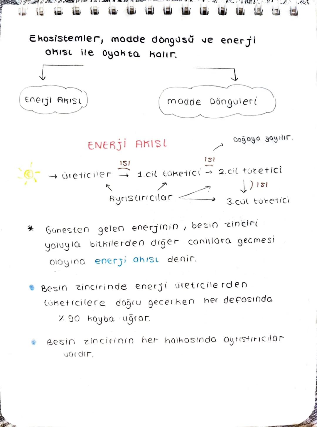 Ekosistem Nedir?
Canlılar ve canlıların içinde bulunduğu
fiziksel ceuredir.
→ Ekosistem Cesitli büyüklüklerde olabilir.
→
Büyüklükleri far