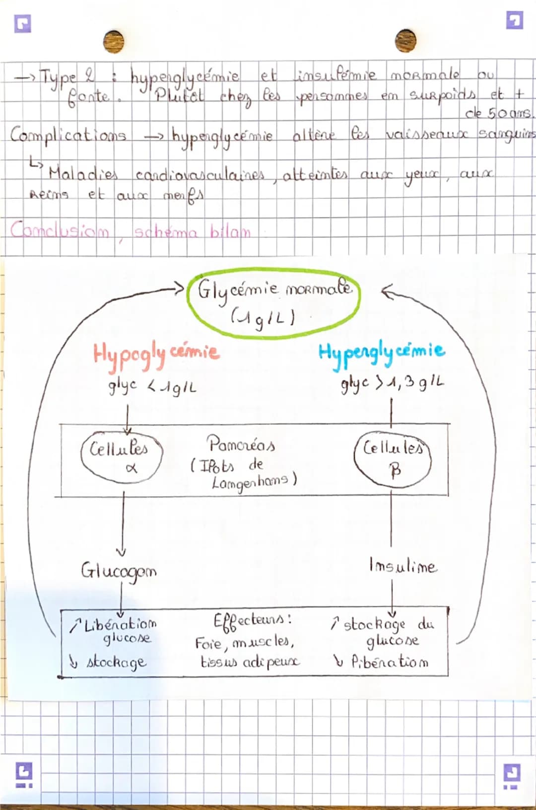 team spé
Le contrôle des flux de glucose source d'énergie.
essentielle des cellules musculaires.
Les muscles et tous les orgames consommen