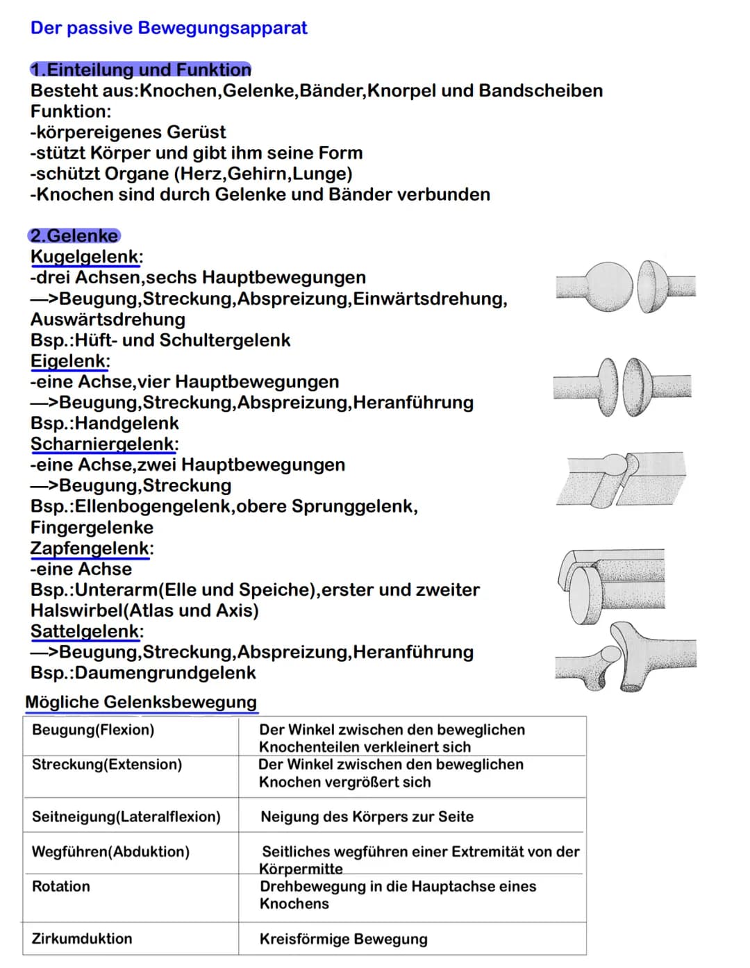Der passive Bewegungsapparat
1. Einteilung und Funktion
Besteht aus: Knochen, Gelenke, Bänder, Knorpel und Bandscheiben
Funktion:
-körpere