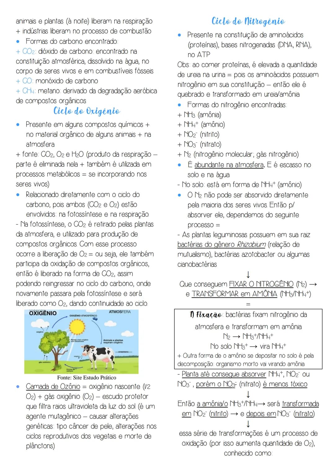 www.biologiaresumidacombr
# Ciclos Biogeoquímicos
- Conceito trânsito de elementos químicos
entre os seres vivos e o ambiente
(elementos r