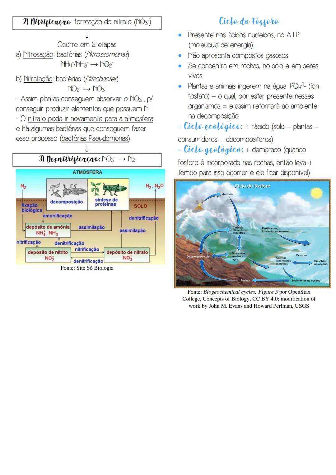 www.biologiaresumidacombr
# Ciclos Biogeoquímicos
- Conceito trânsito de elementos químicos
entre os seres vivos e o ambiente
(elementos r