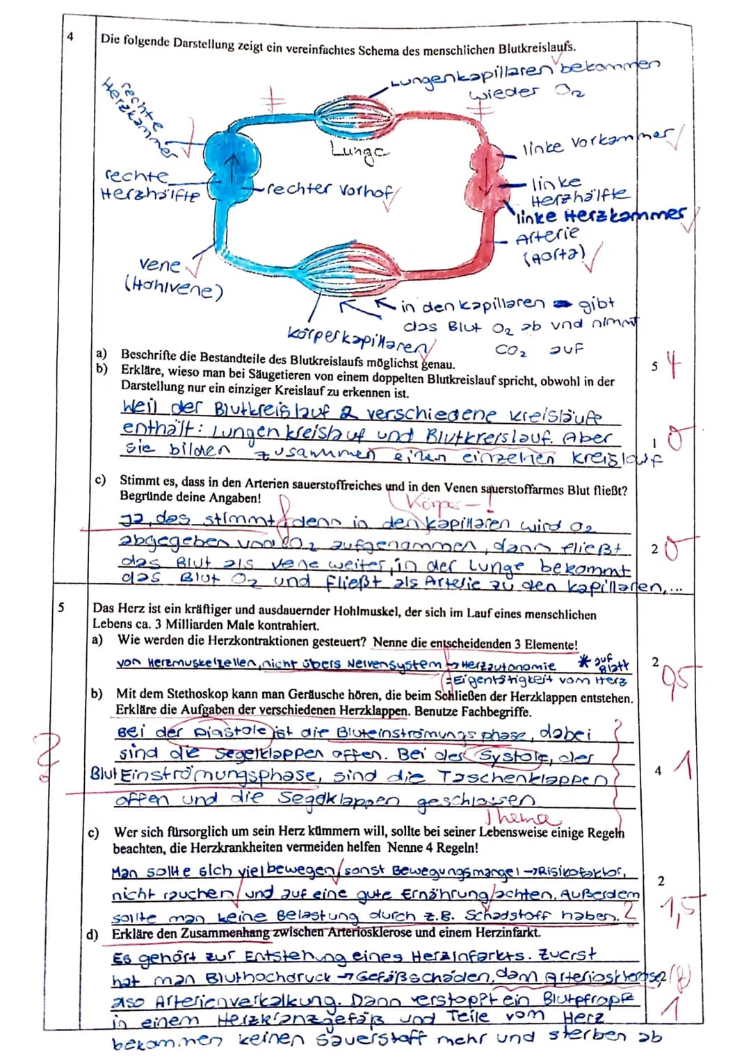 Biologie-Klassenarbeit Nr. 2, Klasse 7c, 27.4.2016
Name:
Punkte: 27/43 Note: 2
Durchschnitt: 3,8. mündliche Leistung:
Punkte
1 Zellen s