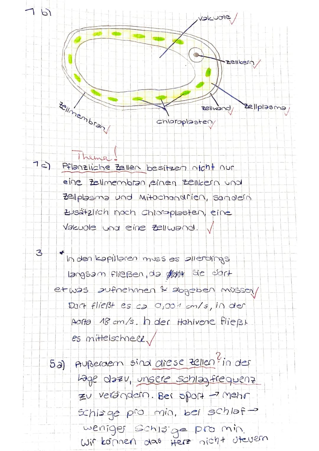 Biologie-Klassenarbeit Nr. 2, Klasse 7c, 27.4.2016
Name:
Punkte: 27/43 Note: 2
Durchschnitt: 3,8. mündliche Leistung:
Punkte
1 Zellen s
