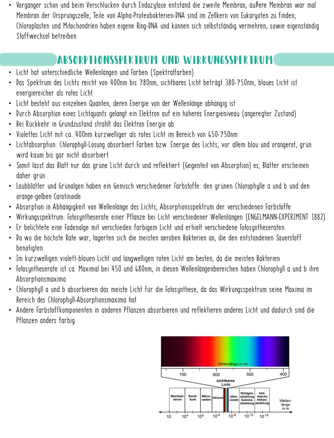 <p>Vorgänger schon und beim Verschlucken durch Endozytose entstand die zweite Membran, äußere Membran war mal Membran der Ursprungszelle; T