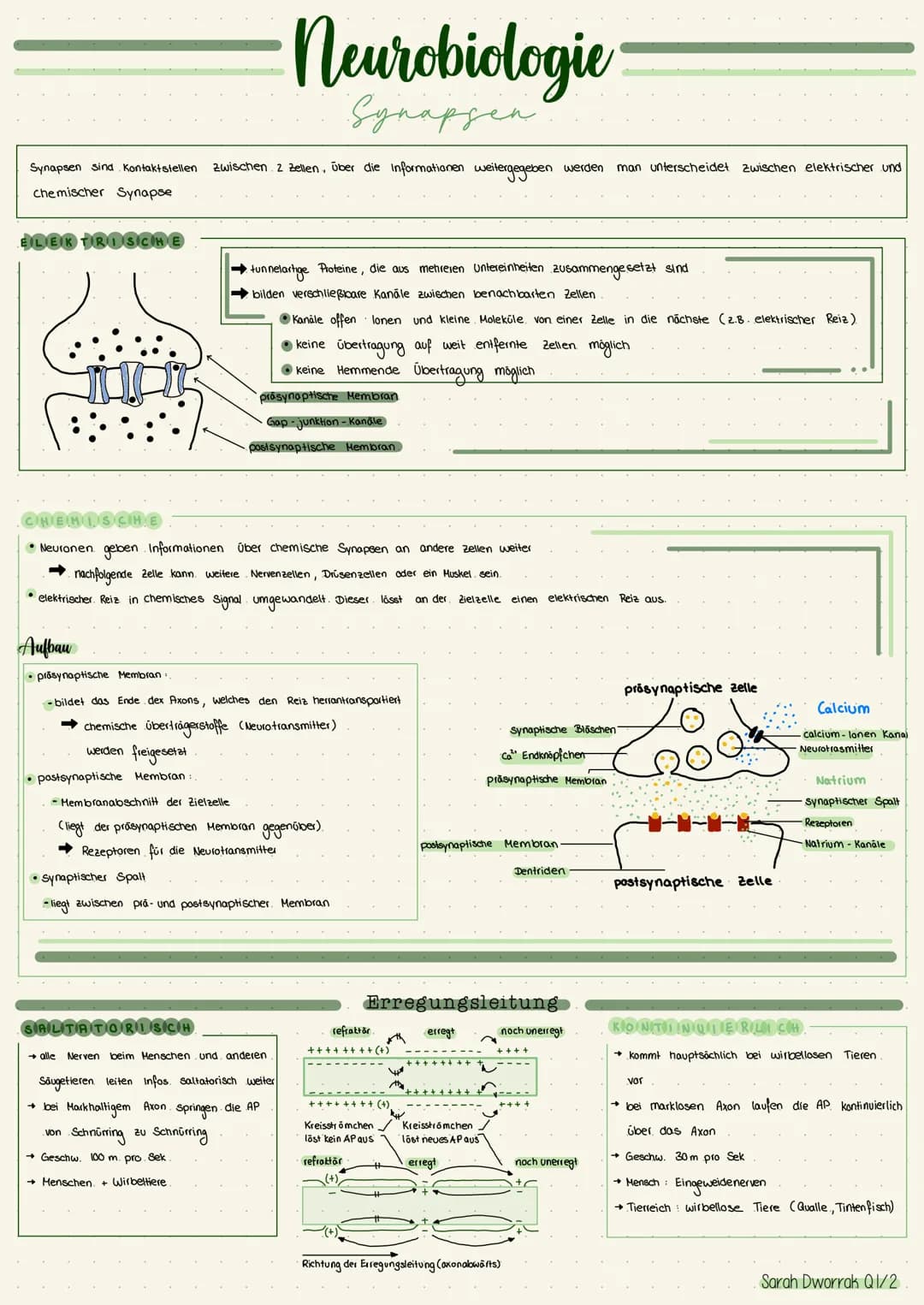 # Neurobiologie
## Neuronen
Synapse
Dendriten
-Zellikern
Fallmembran
Zellikörper (soma)
Axonhügel
Zelikern
Zelimembran
Axon
Cytopla