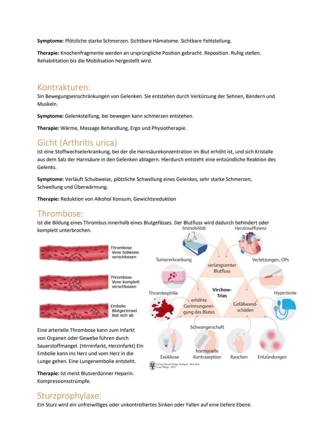 # Handlungskompetenz B.2
BEWEGUNGSAPPARAT/MOBILITÄT
Skelett:
Der Bewegungsapparat des Menschen wird in das passive und aktive Bewegungssys