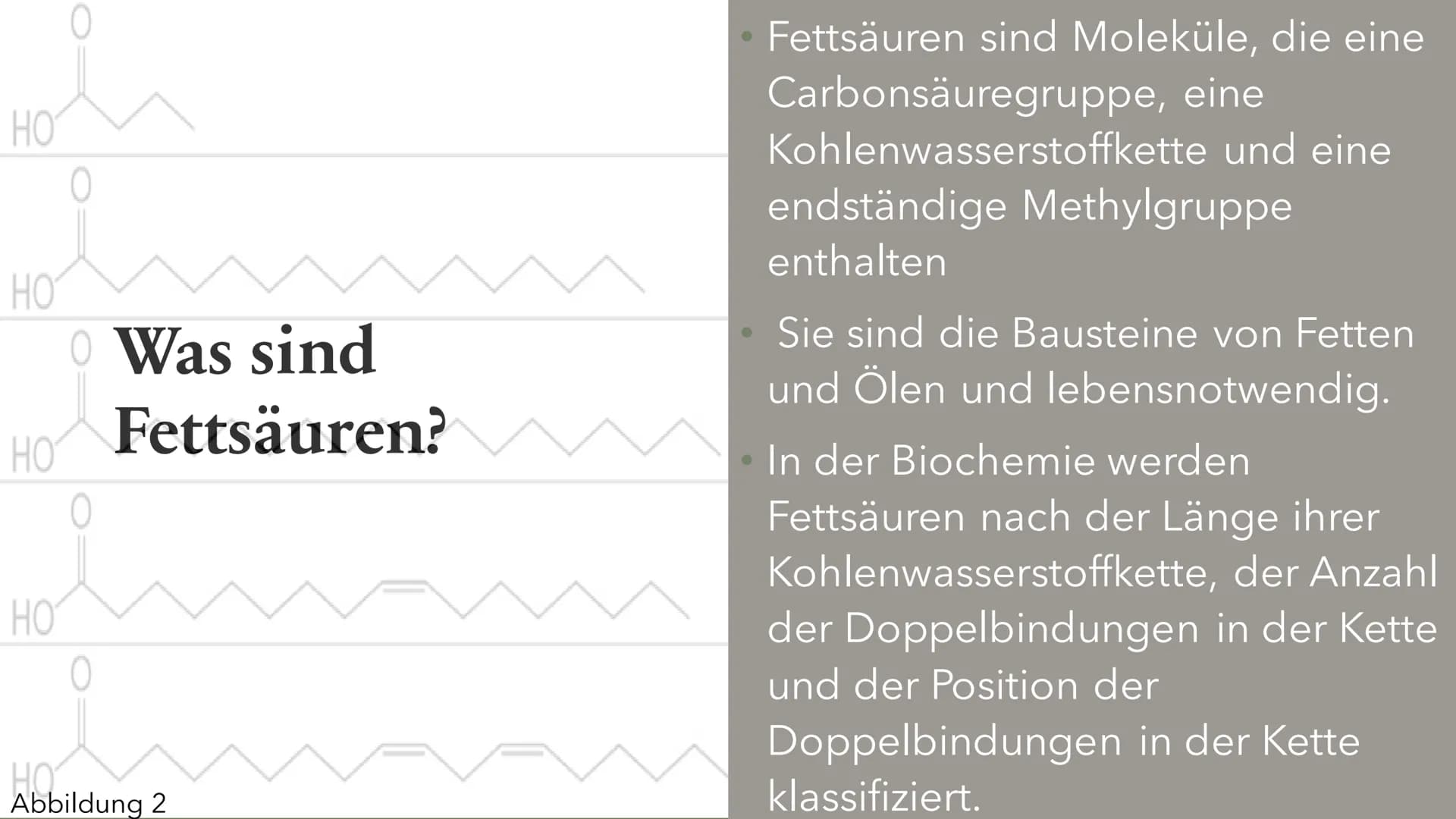 # Fette&Fettsäuren
Berfin Cepik
13ch1
Abbildung 1 Was sind Fettsäuren
Was sind Fette?
Aufbau
Eigenschaften
Funktion
Vorkommen
Gliederung