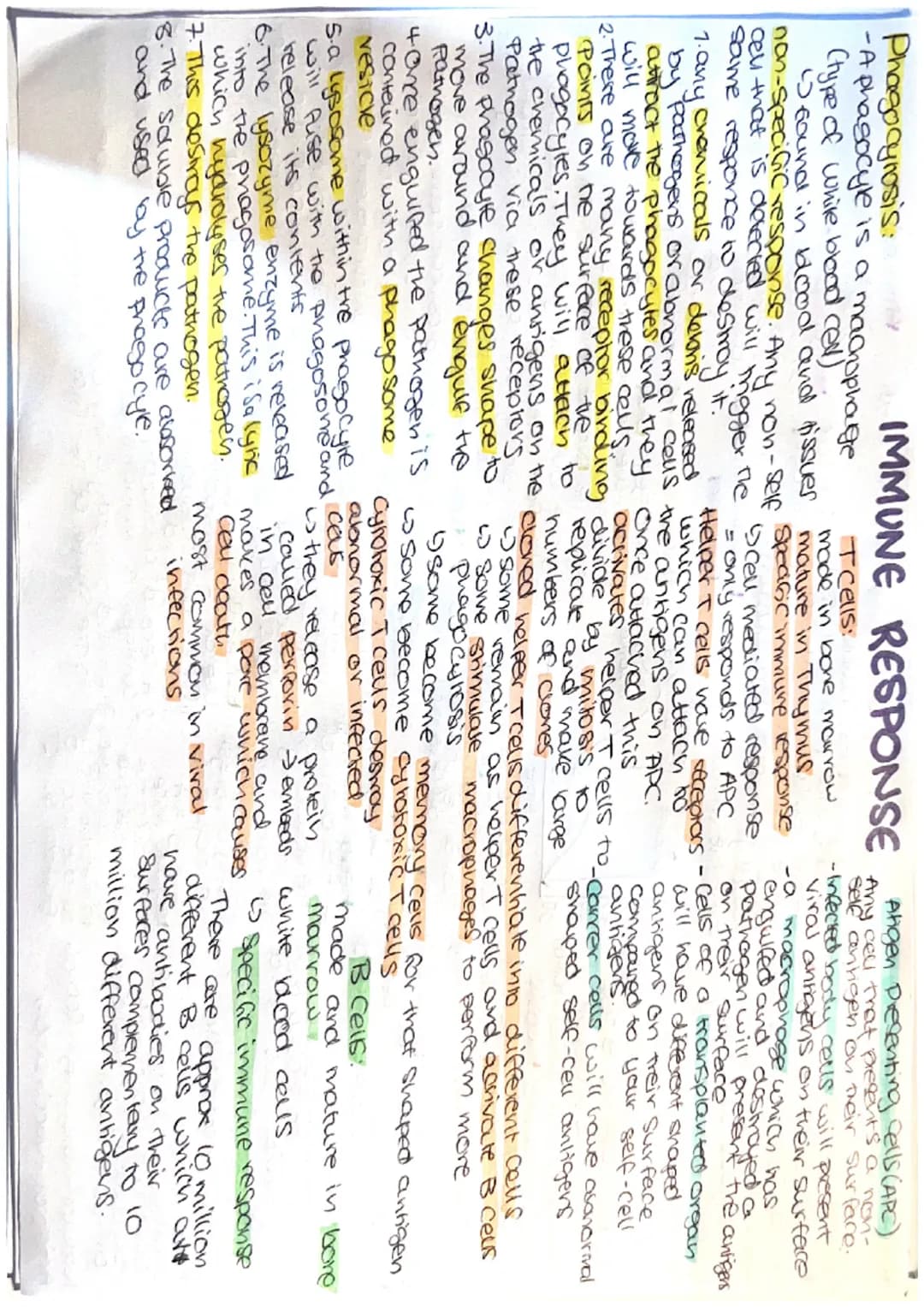 Phagocytosis:
-A phagocyle is a macrophage
Ctype of white blood cell)"
found in blood and tissues
non-specific response. Any non-self
cel th