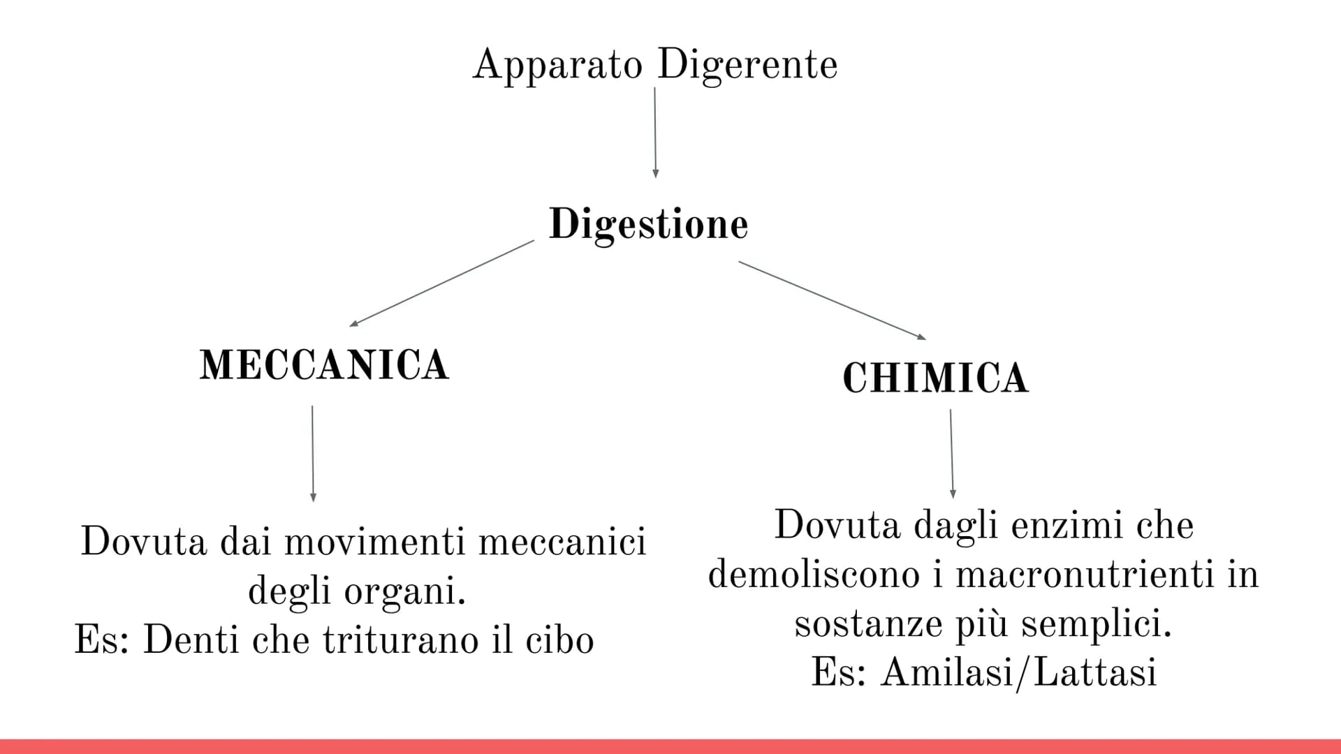 Esófago
Fegato
Colecisti
Duodeno
Stomaco
Intestino crasso
Intestino
terme
L'APPARATO
DIGERENTE # COS'E' L'APPARATO DIGERENTE?
L'appar