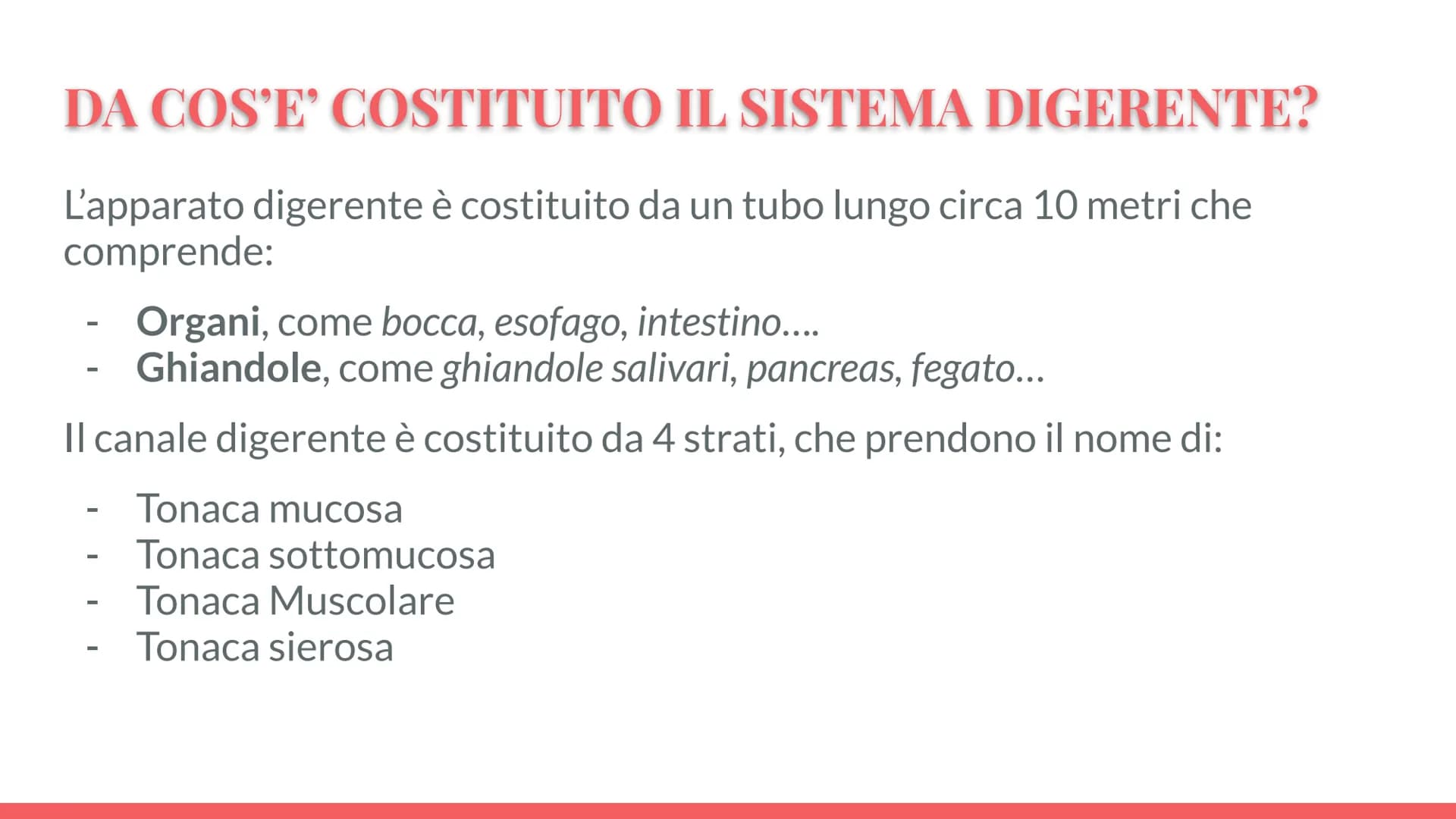 Esófago
Fegato
Colecisti
Duodeno
Stomaco
Intestino crasso
Intestino
terme
L'APPARATO
DIGERENTE # COS'E' L'APPARATO DIGERENTE?
L'appar