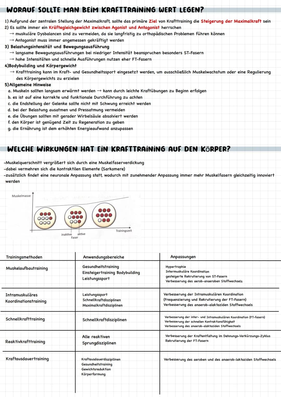 # KRAFT
WIE IST DER MUSKEL AUFGEBAUT?
-gesunder Mensch besitzt 650 Muskeln
-Anzahl der Muskeln identisch
-Anteil der Muskelmasse: Männer