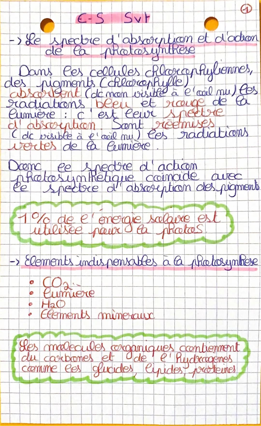 E-S Svt
-> Le spectre d'absorption et d'odion
de la photosynthèse
Dans les cellules chlorophylbonnes,
des pigments (chlorophylle)
absorben