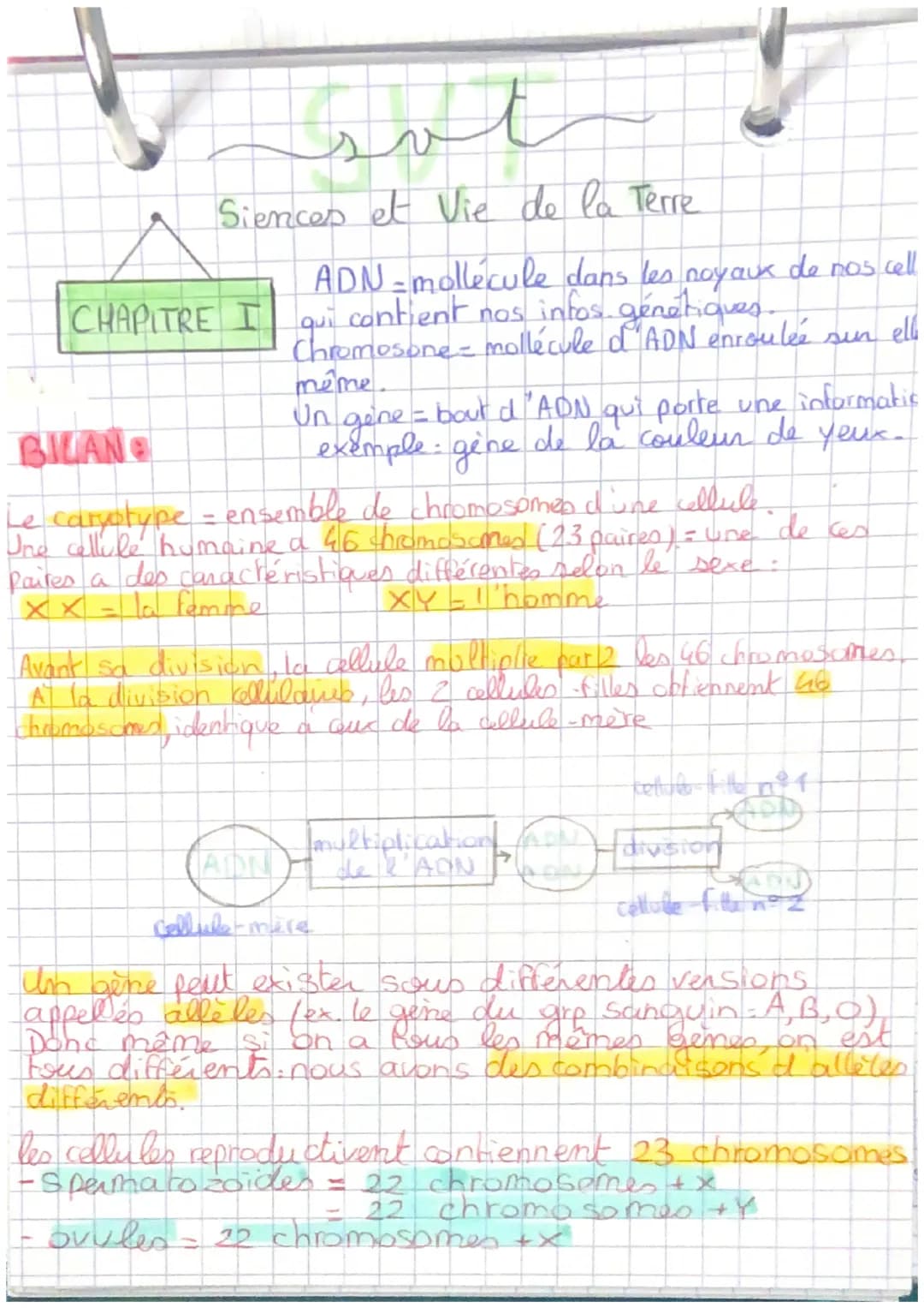 # SVT
Siences et Vie de la Terre
ADN-mollécule dans les noyaux de nos cell
qui contient nos infos génétiques.
Chromosone - mollécule d'AD