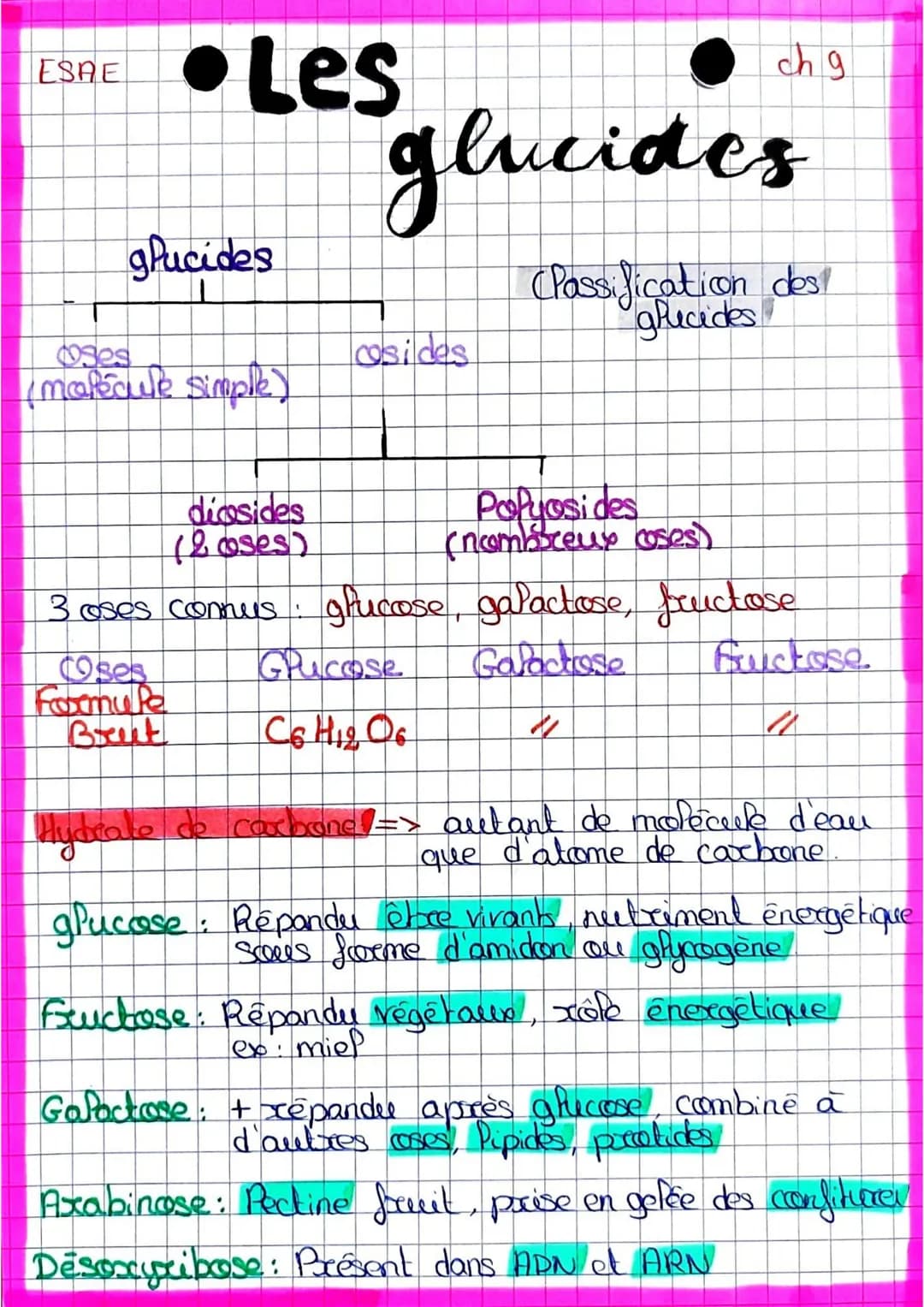 ESAE
# • Les
## glucides
chg
glucides
(Passification des
glucides
ses
osides
(molécule simple)
diosides
Popyosides
(2oses)
(nombreux cos