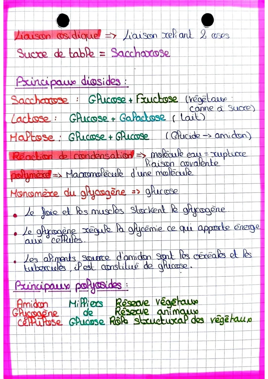 ESAE
# • Les
## glucides
chg
glucides
(Passification des
glucides
ses
osides
(molécule simple)
diosides
Popyosides
(2oses)
(nombreux cos