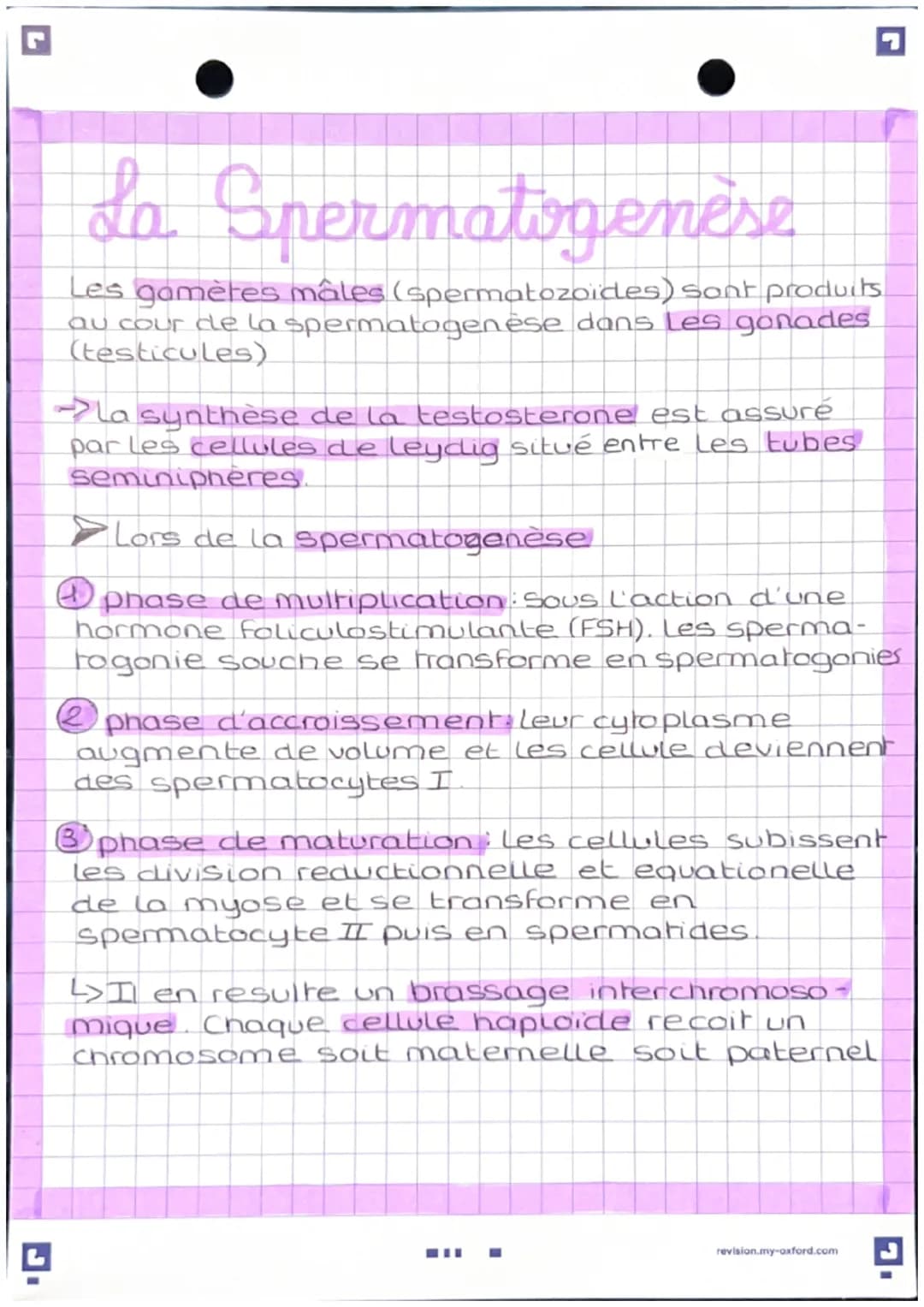 # L'anatomie des appareils
reproducten
-Appareil génital masculin
colon
vessie
Rectum
pubis
vesicule seminal
penis
-canal ejaculateur
corp
c