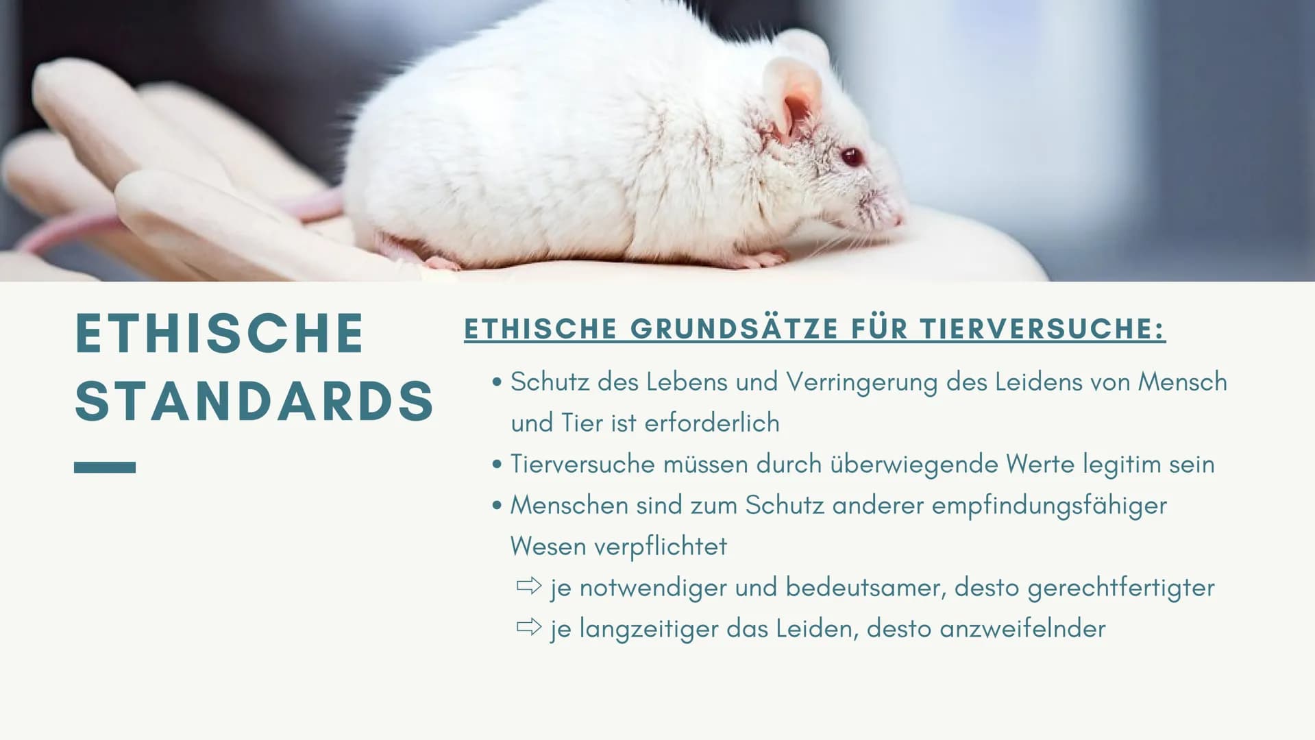 MSA-PRÄSENTATION
SIND
TIERVERSUCHE
MORALISCH
VERTRETBAR?
von ... # Gliederung
1 Definition und Zwecke
2 Aktuelle Rechtslage in Deutschla