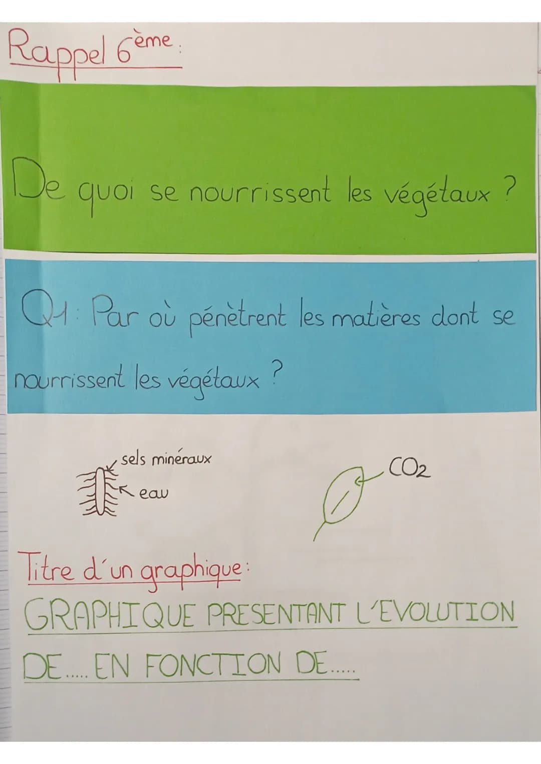SVT
définitions:
sève: liquide nourricier du végétal
sève élaborée: matière organique produite au niveau des
feuilles qui est mélangée à