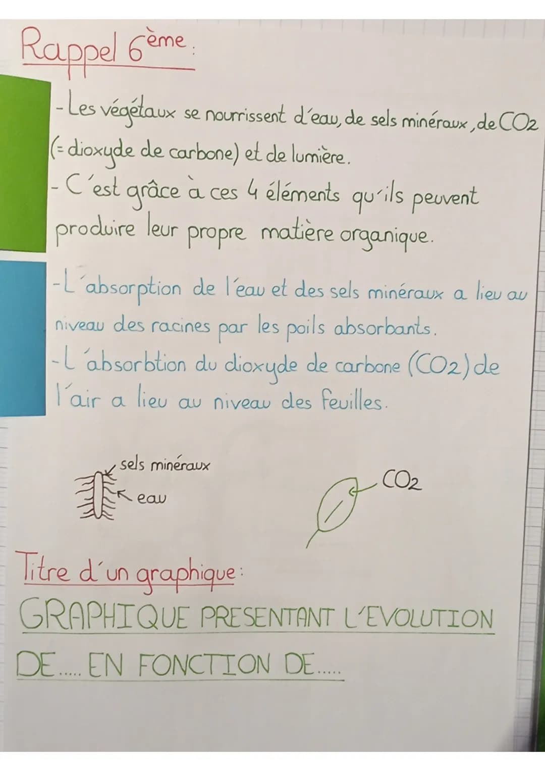 SVT
définitions:
sève: liquide nourricier du végétal
sève élaborée: matière organique produite au niveau des
feuilles qui est mélangée à