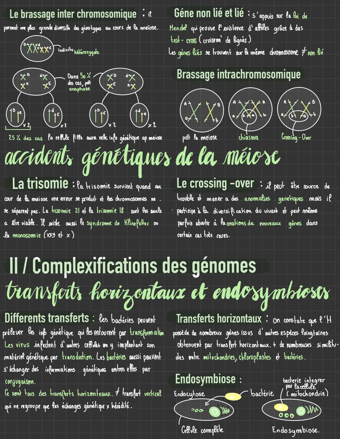 Svt # Génétique et évolution
I/ origines des génotypes humains
stabilité génétique et évolution clonale
La mitose: la prophase, dispariti