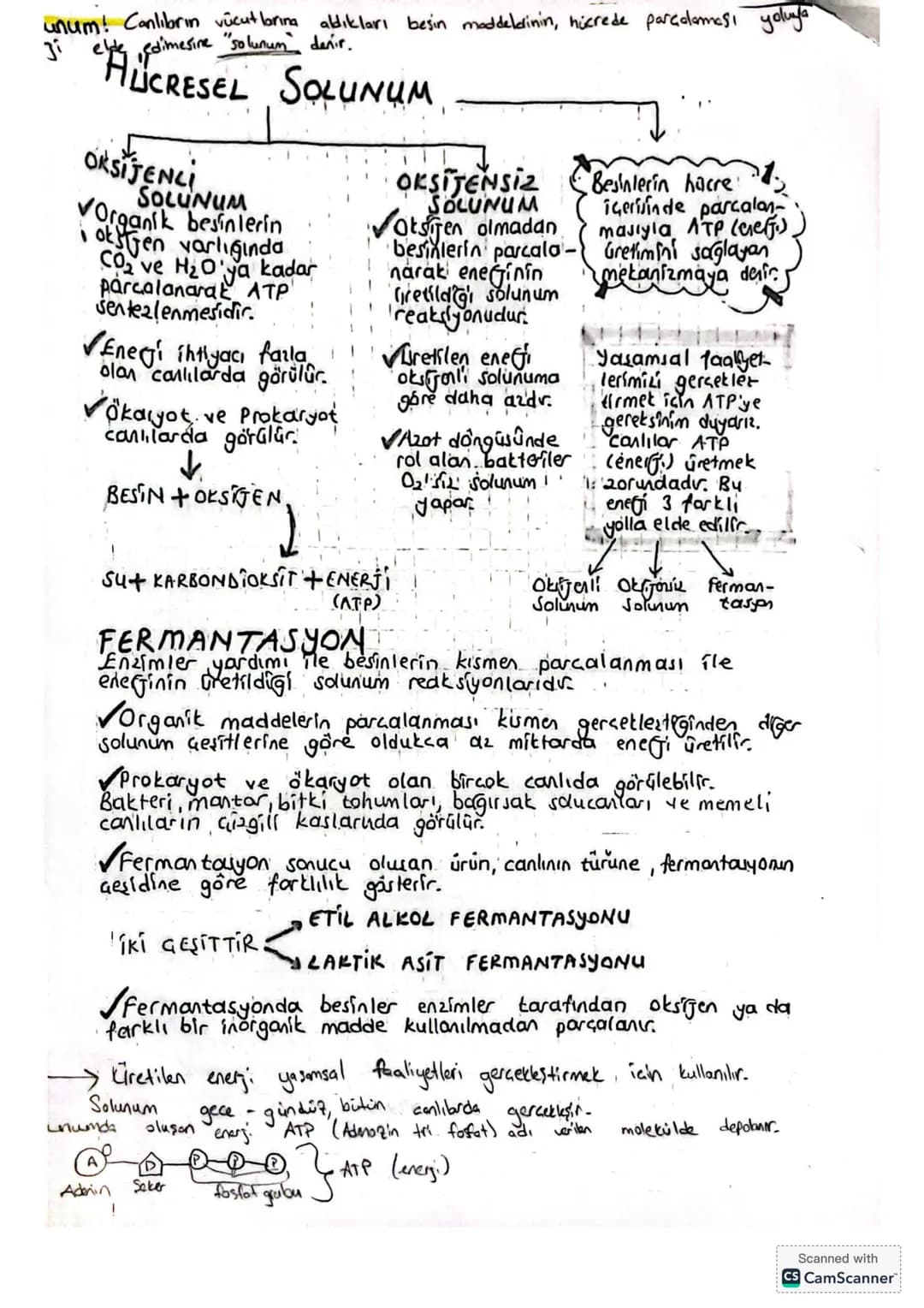 unum! Canlıbrın vücutlarına aldıkları besin moddeldinin, hücrede parçalaması yoluya
Ji elty dimes
elde edimesine "solunun denir."
HLUCRESEL