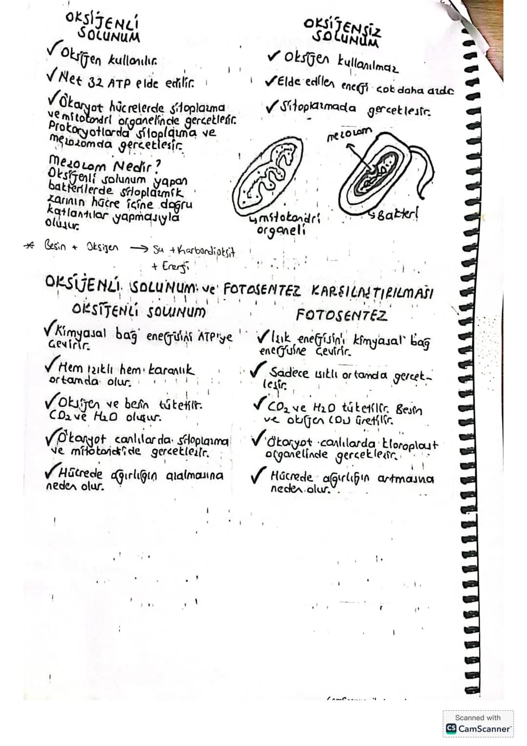 unum! Canlıbrın vücutlarına aldıkları besin moddeldinin, hücrede parçalaması yoluya
Ji elty dimes
elde edimesine "solunun denir."
HLUCRESEL