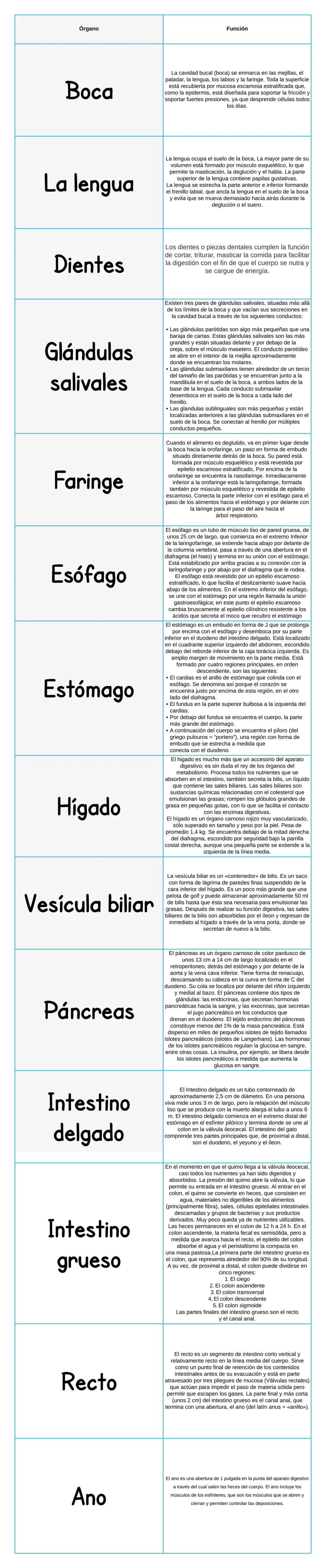 Boca
La lengua
Dientes
Glándulas
salivales
Faringe
Esófago
Estómago
Hígado
Vesícula biliar
Páncreas
Intestino
delgado
Intestino