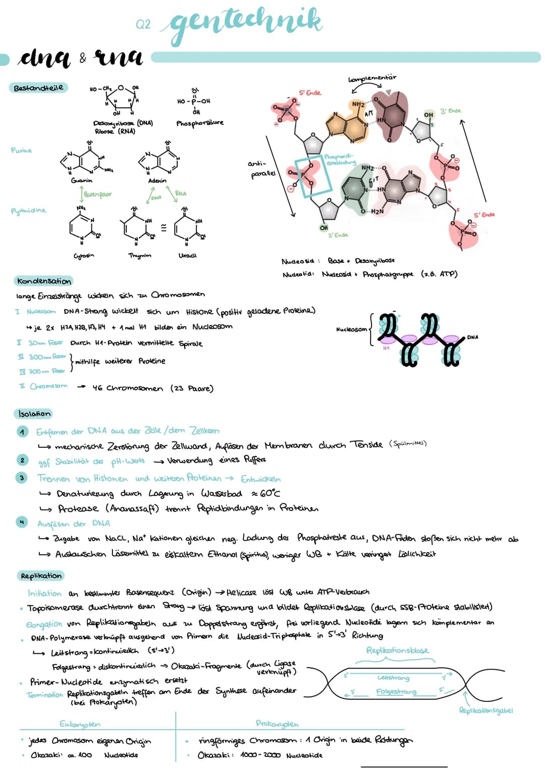 # Q1 organische chemie
nomenklatur
| Stoffklasse | funkt. Gruppe | kennsilbe | Beispiel | Priorität |
| ----------- | ------------- | ----