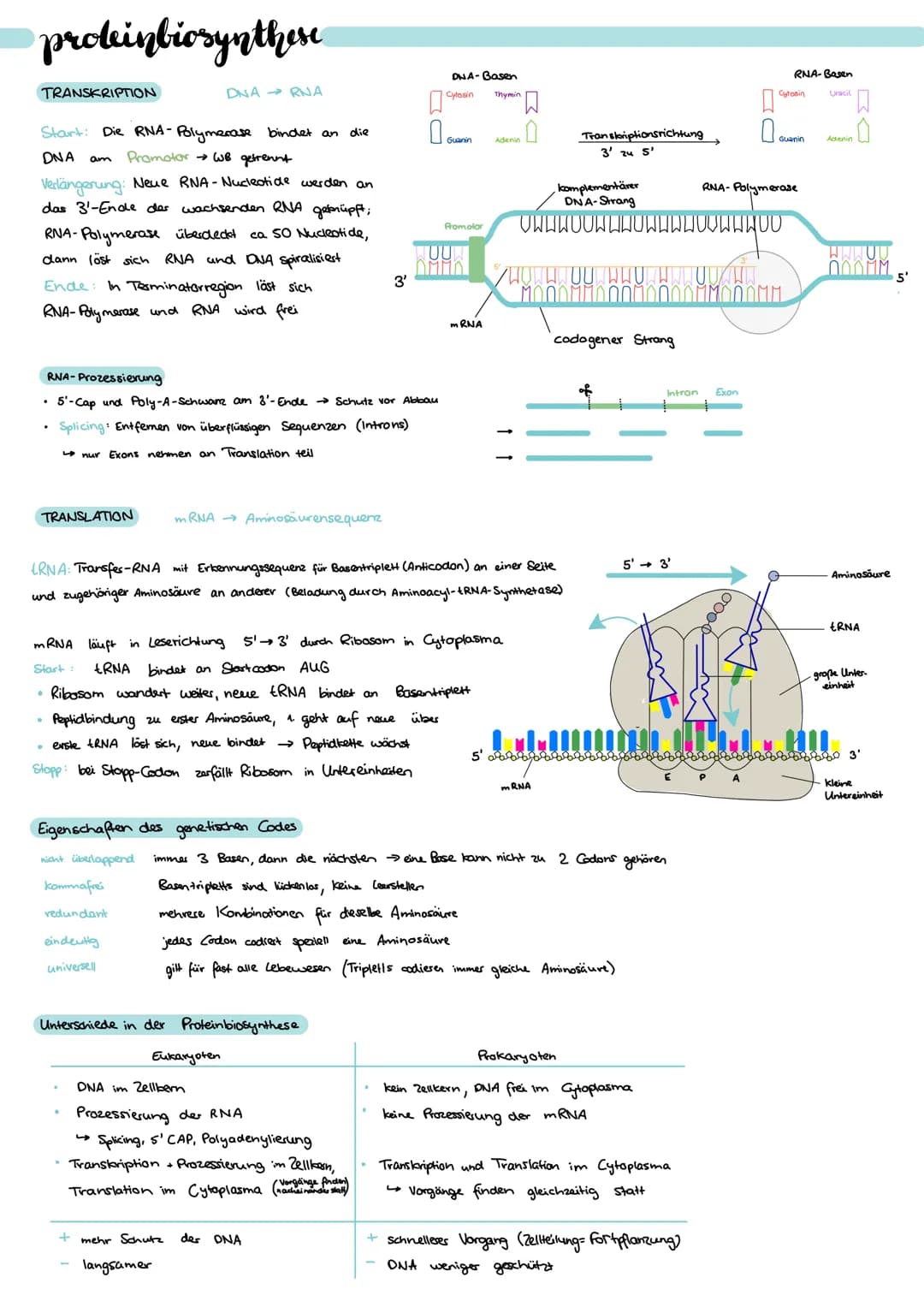 # Q1 organische chemie
nomenklatur
| Stoffklasse | funkt. Gruppe | kennsilbe | Beispiel | Priorität |
| ----------- | ------------- | ----