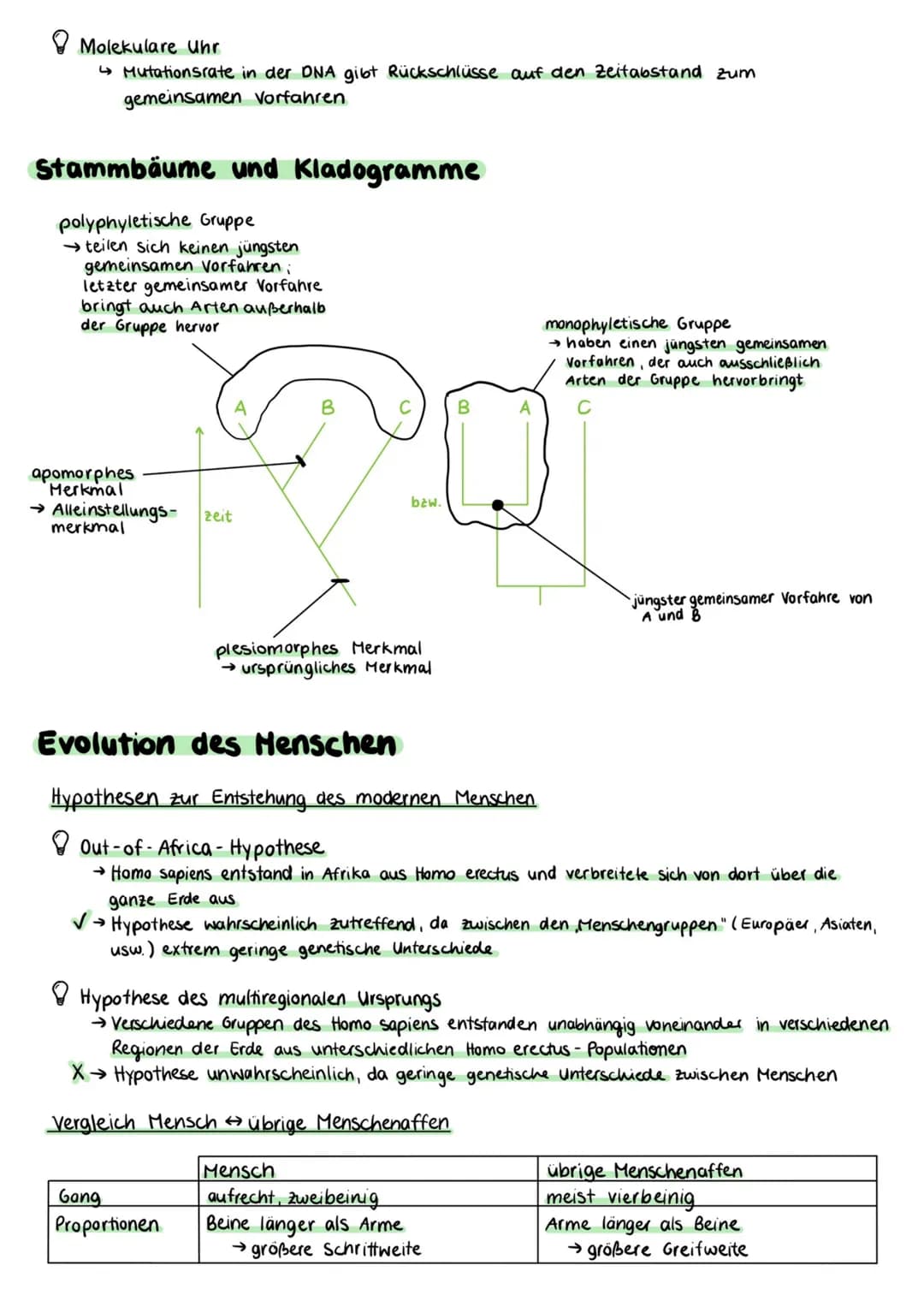 # Evolution
Darwins Evolutionstheorie
Schrittweise, über viele Generationen hinweg, passive Anpassung durch Wirken der Selektion
→Artwande