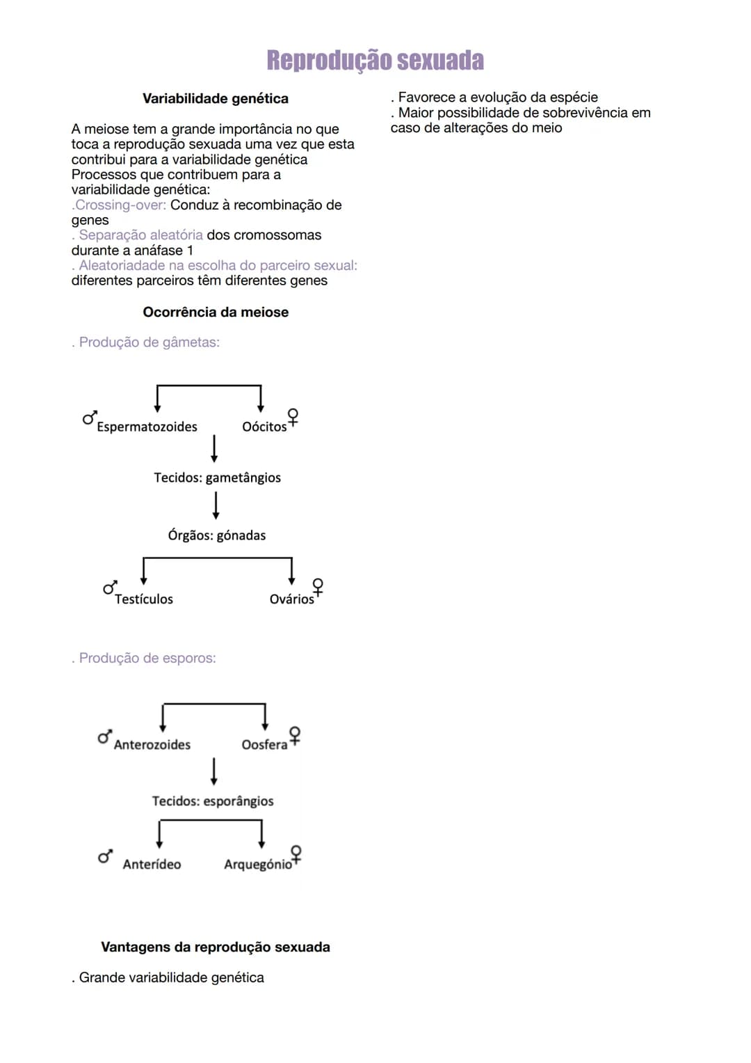 # Reprodução sexuada
A reprodução sexuada envolve a criação de
gâmetas, através da meiose (também pode
produzir esporos), e a junção dos me