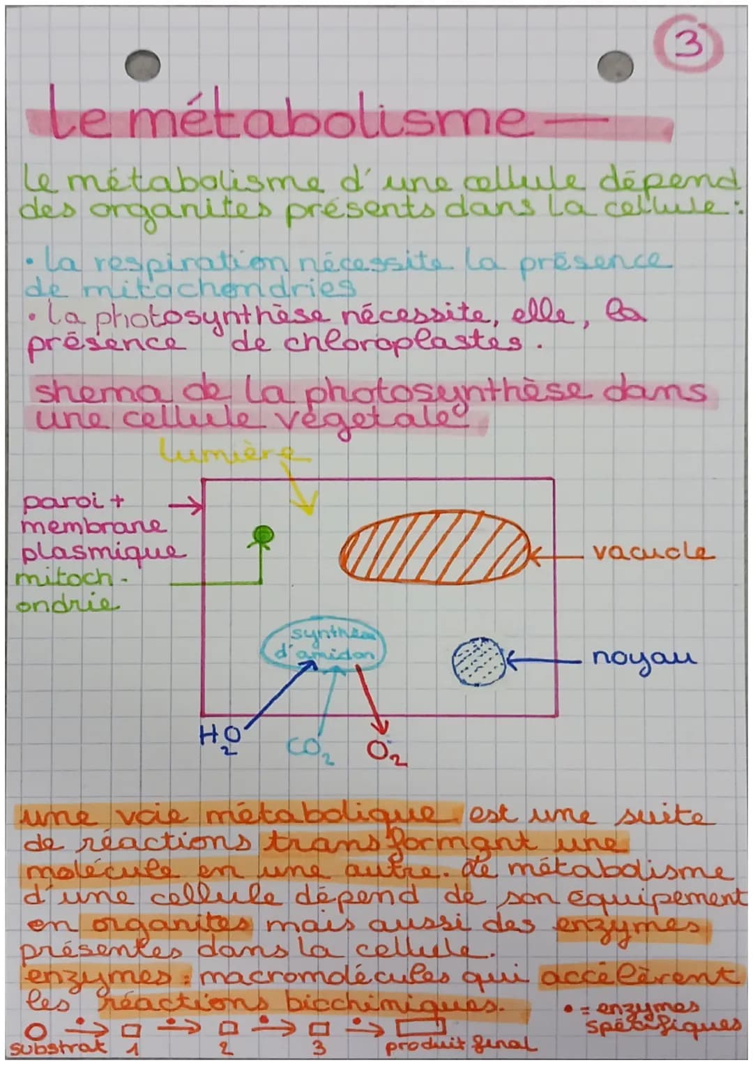 # 1
# le métabolisme -
métabolisme ensemble des
réactions chimiques nécessaires
à la vie qui se déroulent dans
les cellules de l'organisme